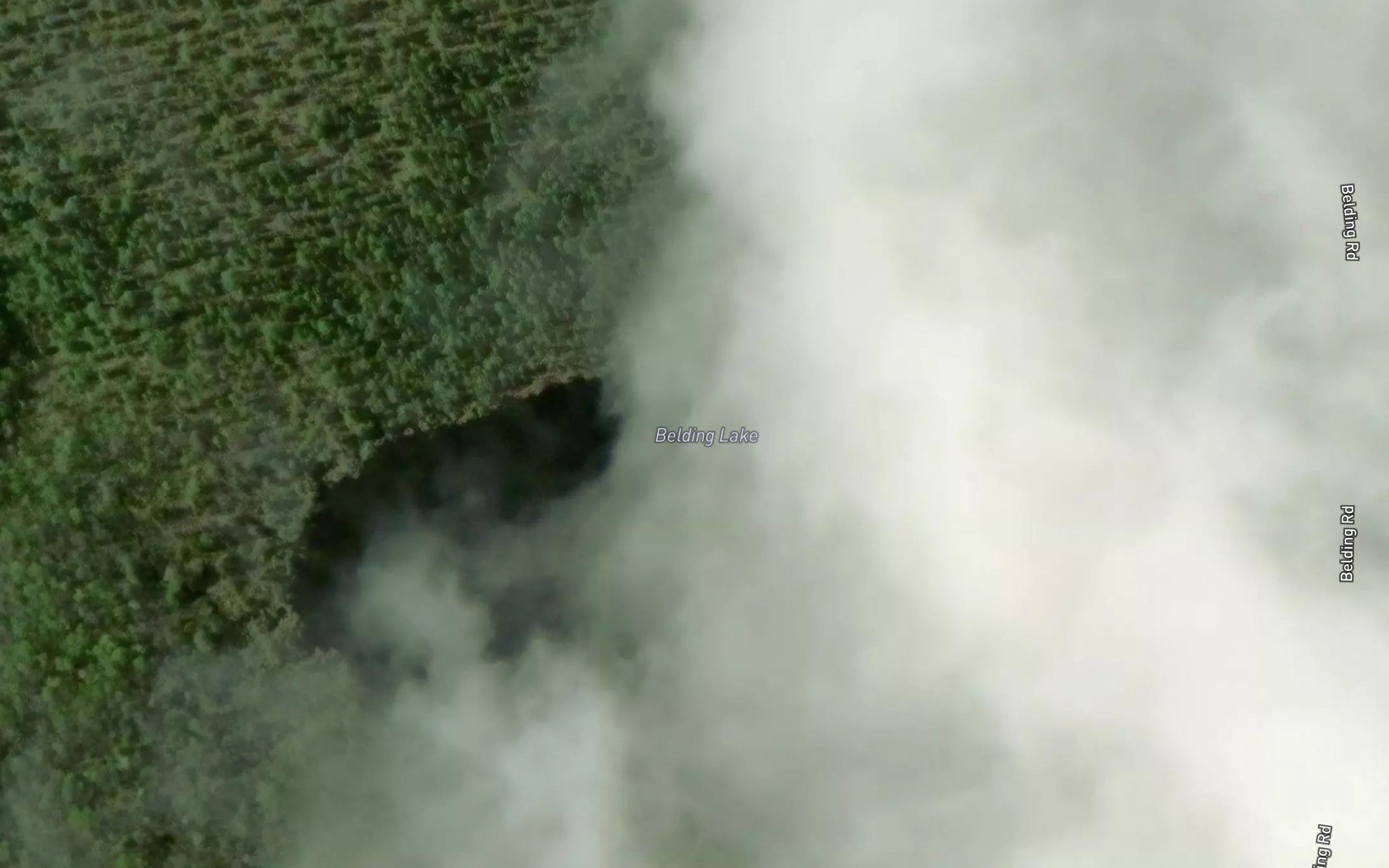 Satellite map of the Belding Lake