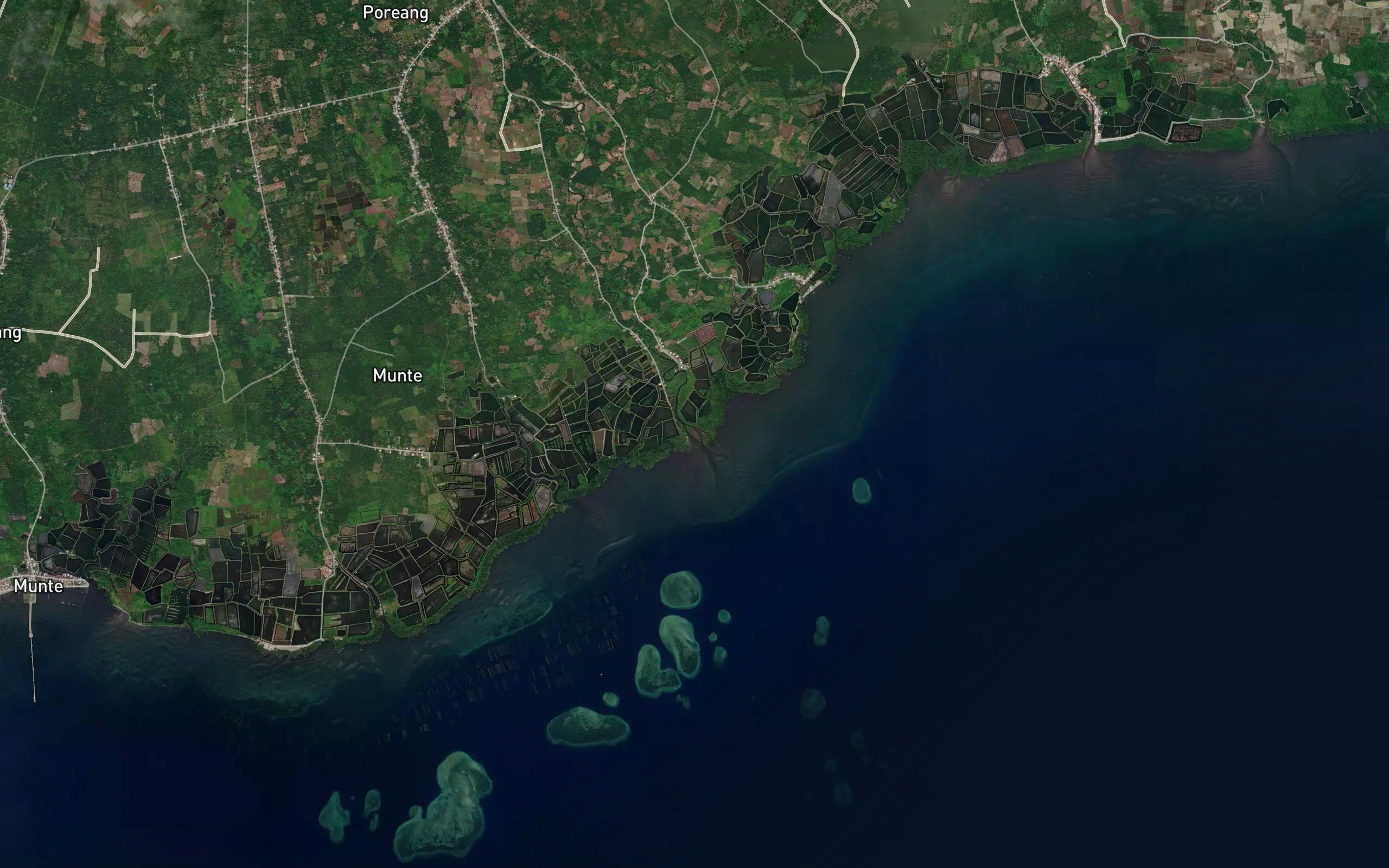 Salu Bungadidi
