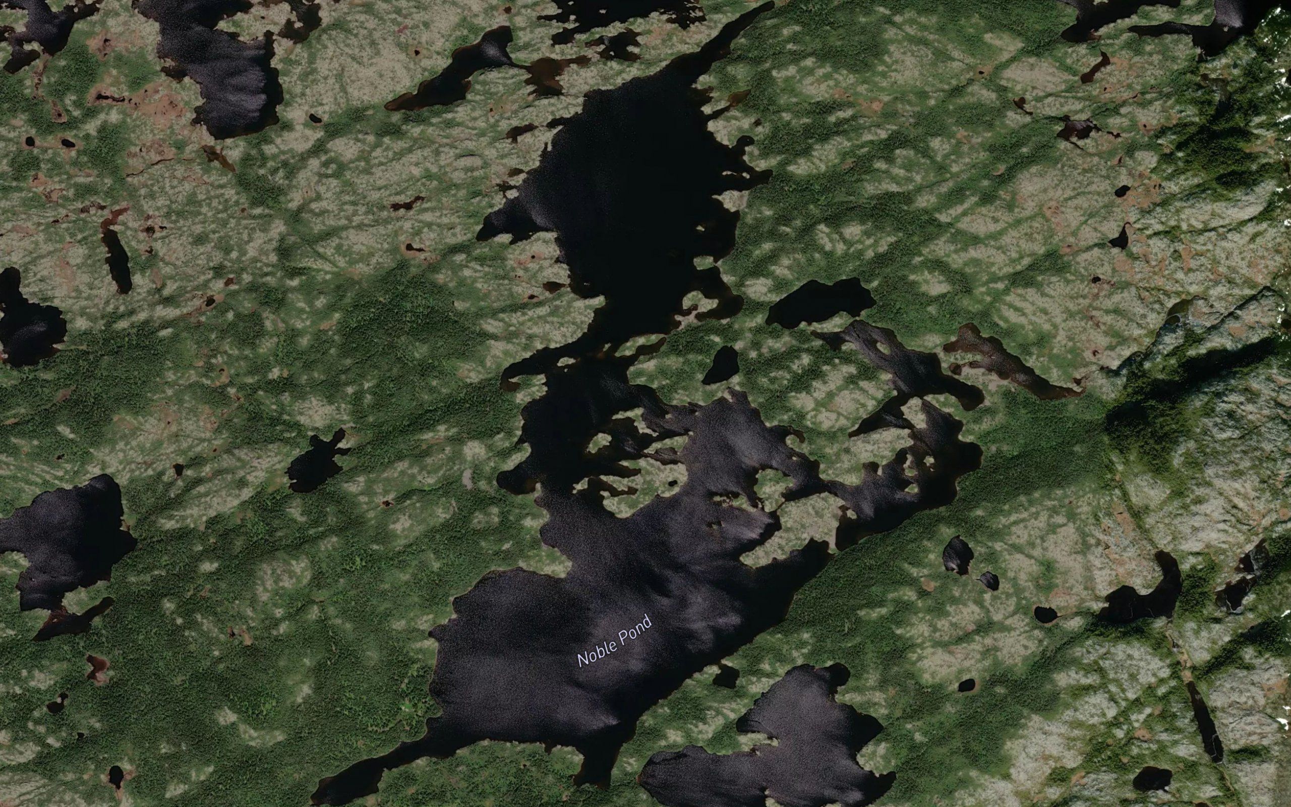 Noble Pond