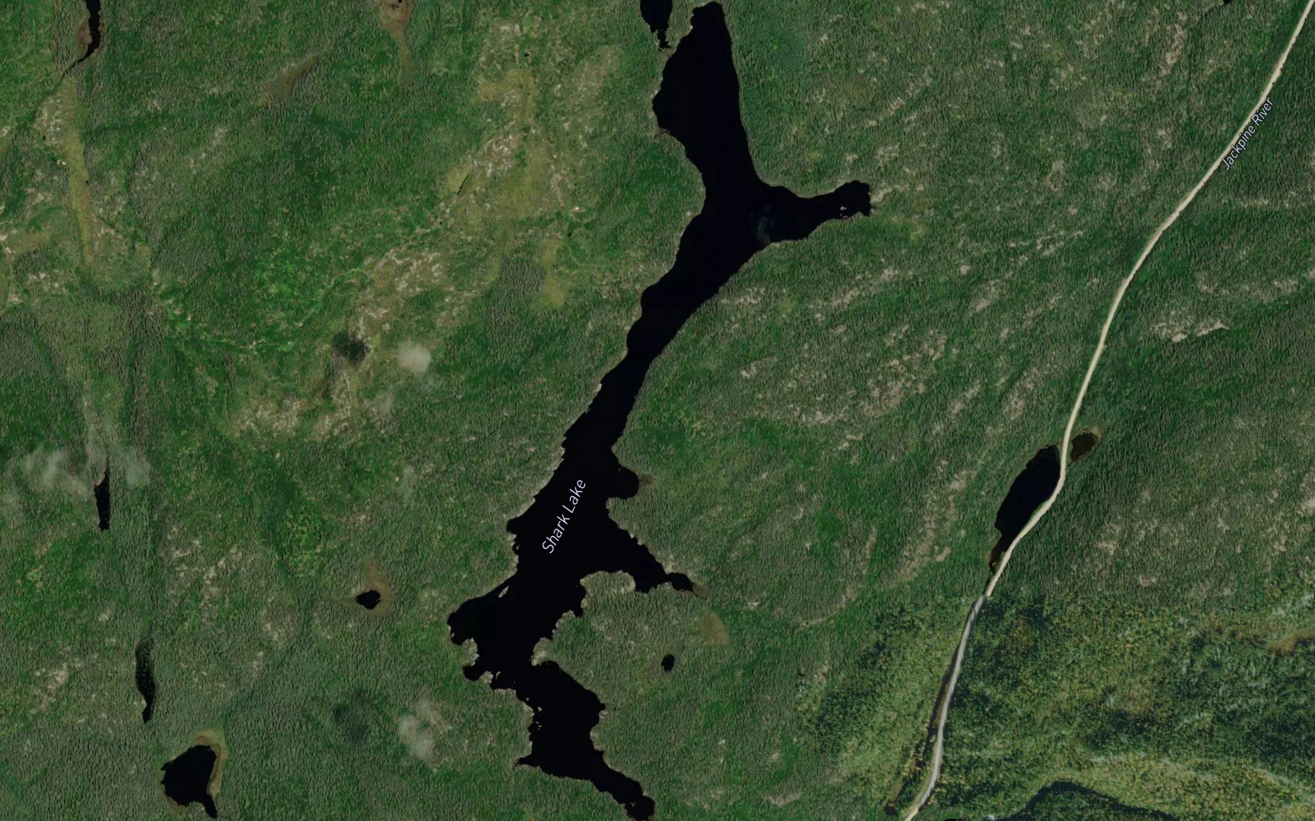 Shark Lake