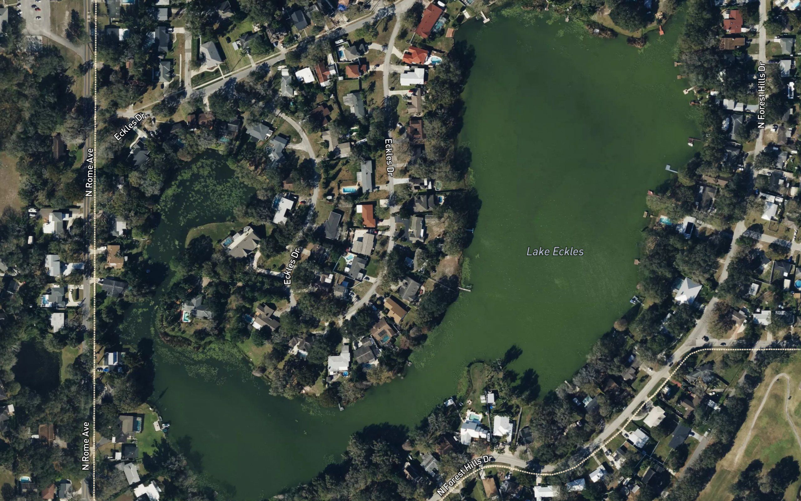 Lake Eckles