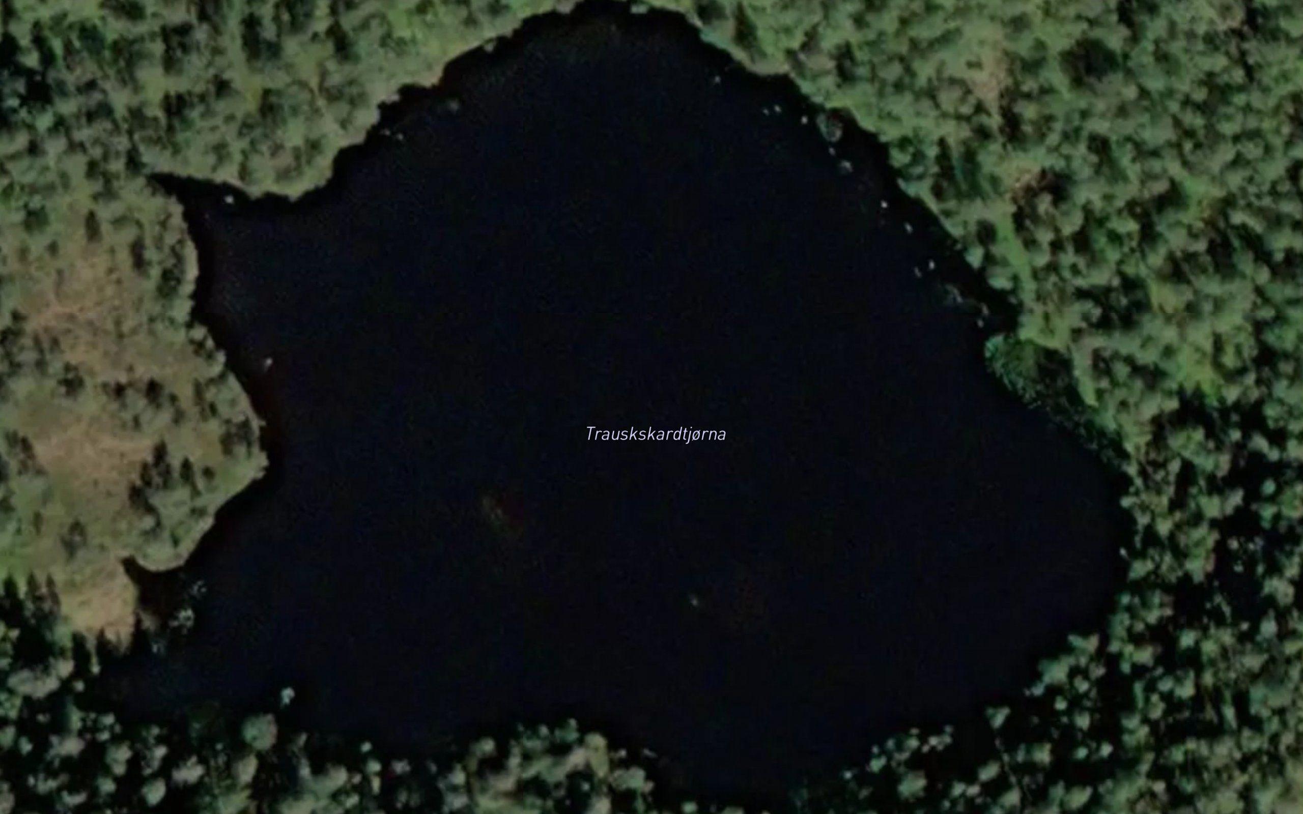 Trauskatjorna