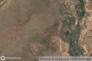 Racecourse Billabong