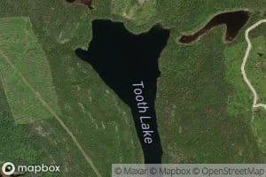 Tooth Lake