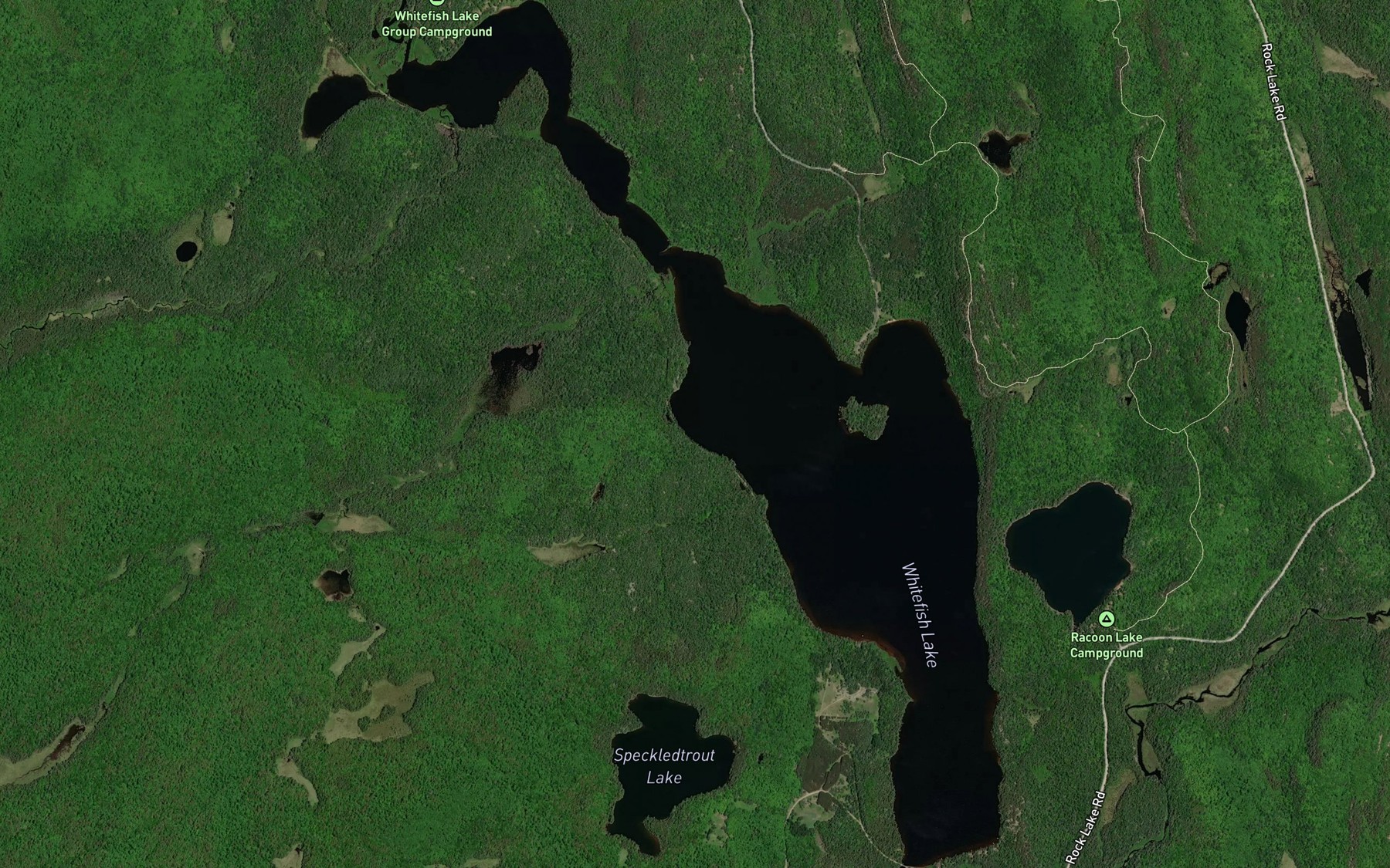 Satellite map of the Whitefish Lake