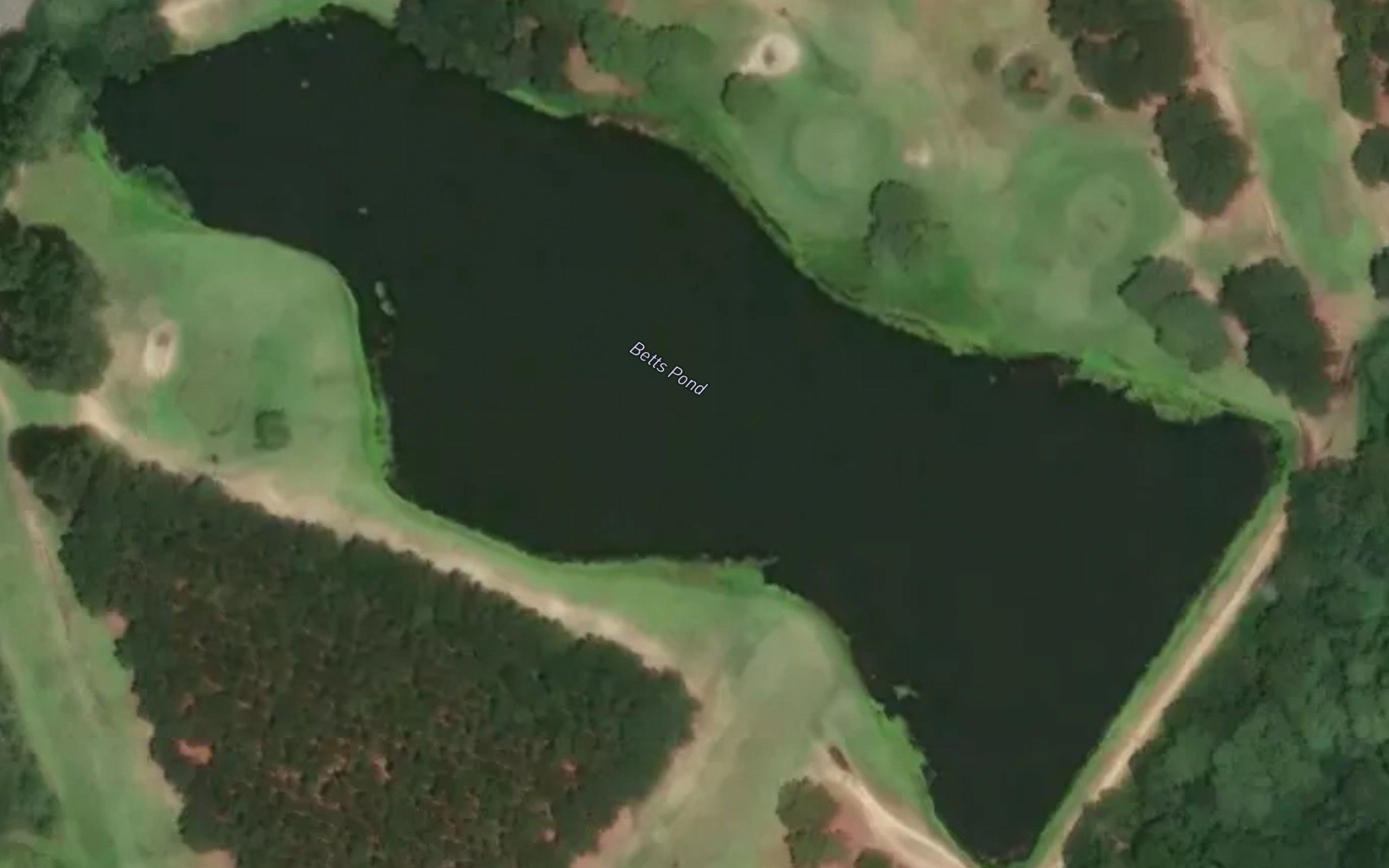 Betts Pond