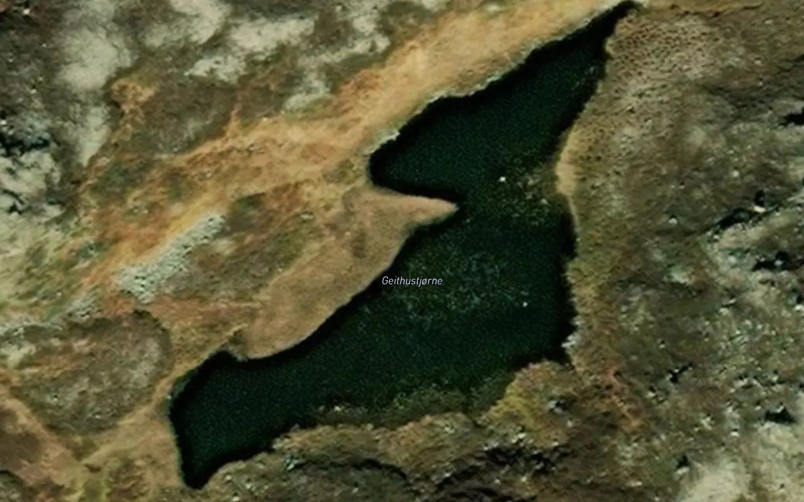 Geithustjorne