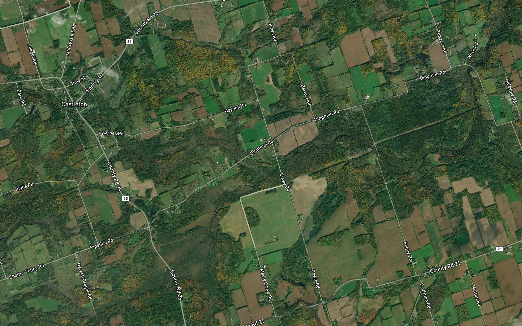 Satellite map of the Piper Creek