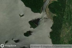 Turtle River