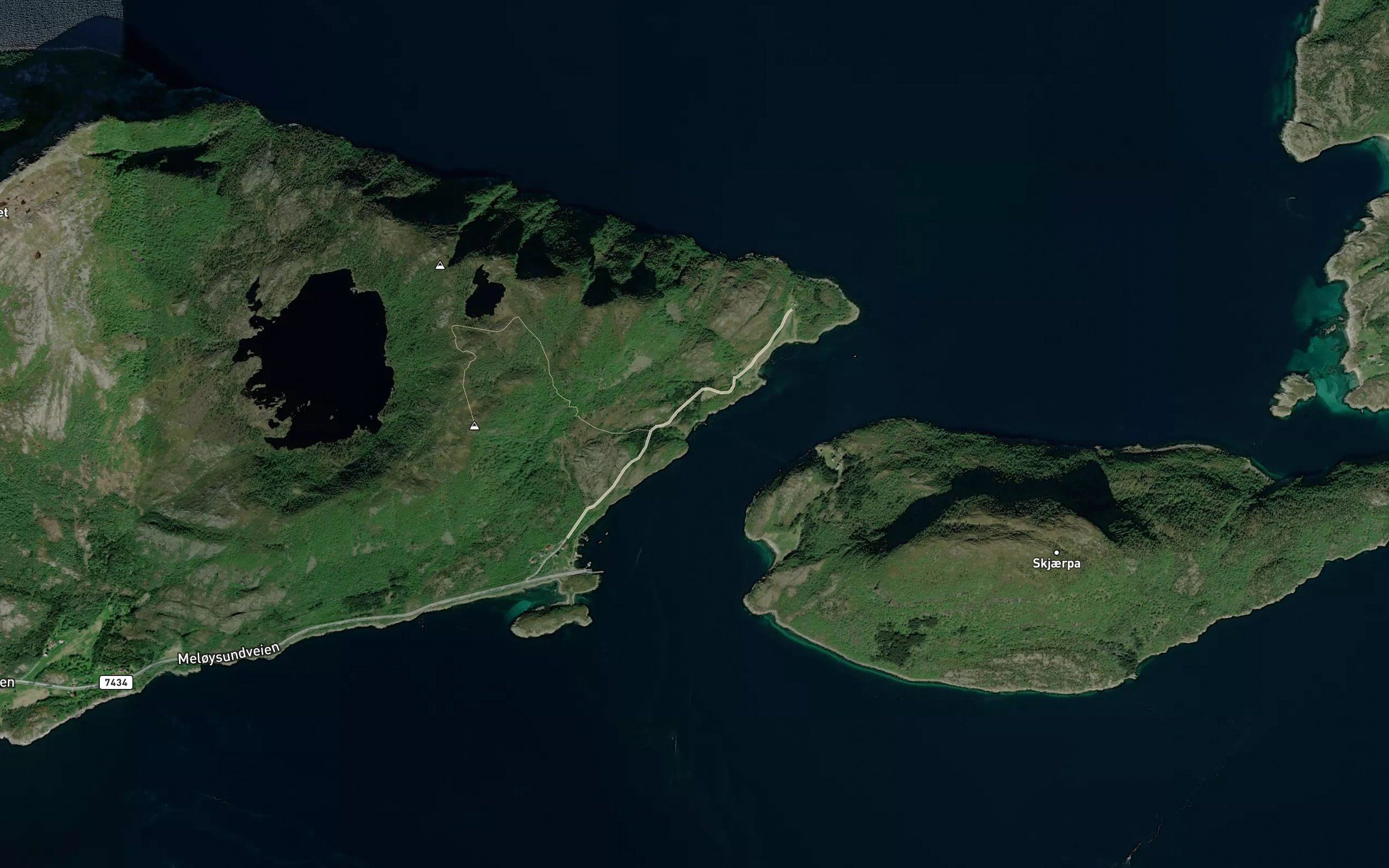 Palsvika
