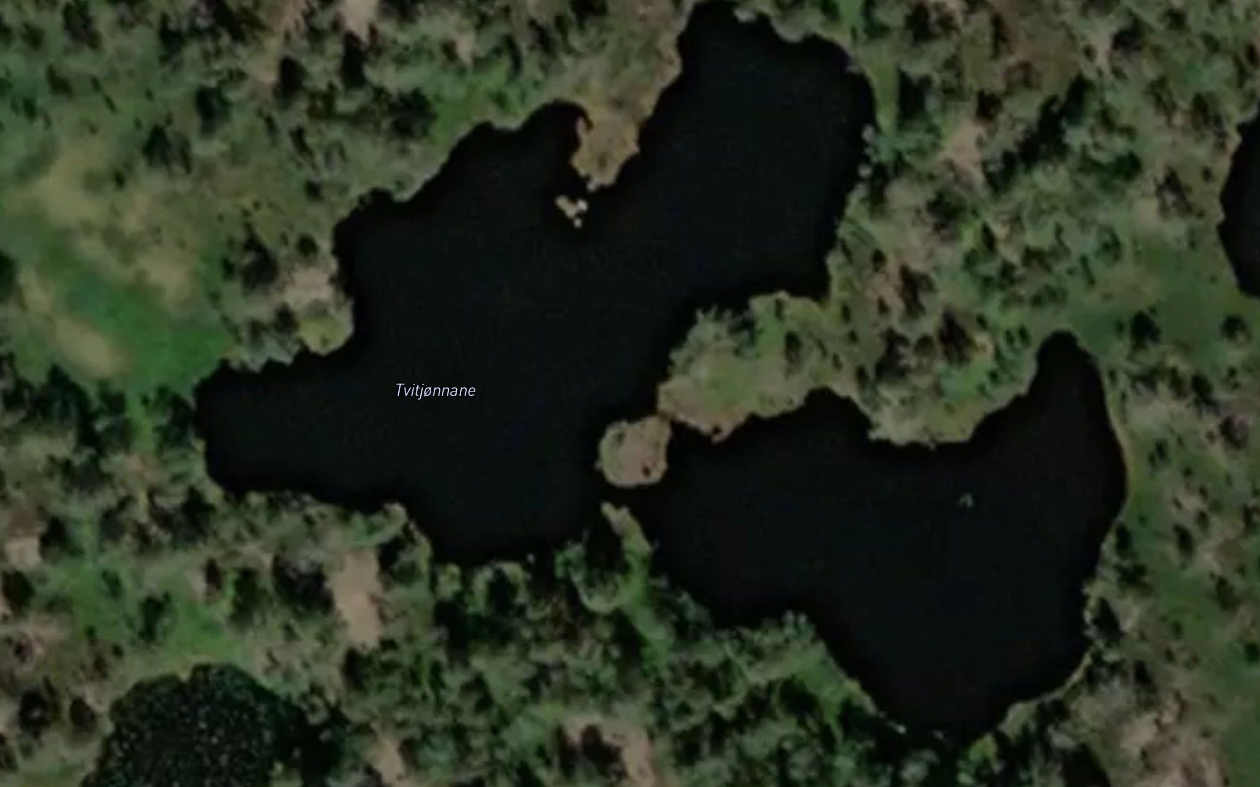 Tvitjonnane