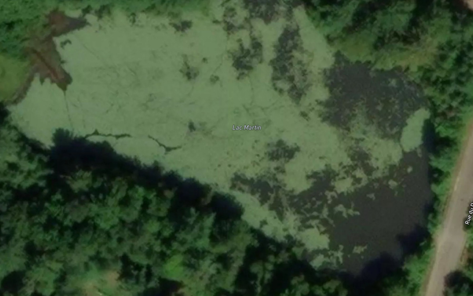 Satellite map of the Lac Martin