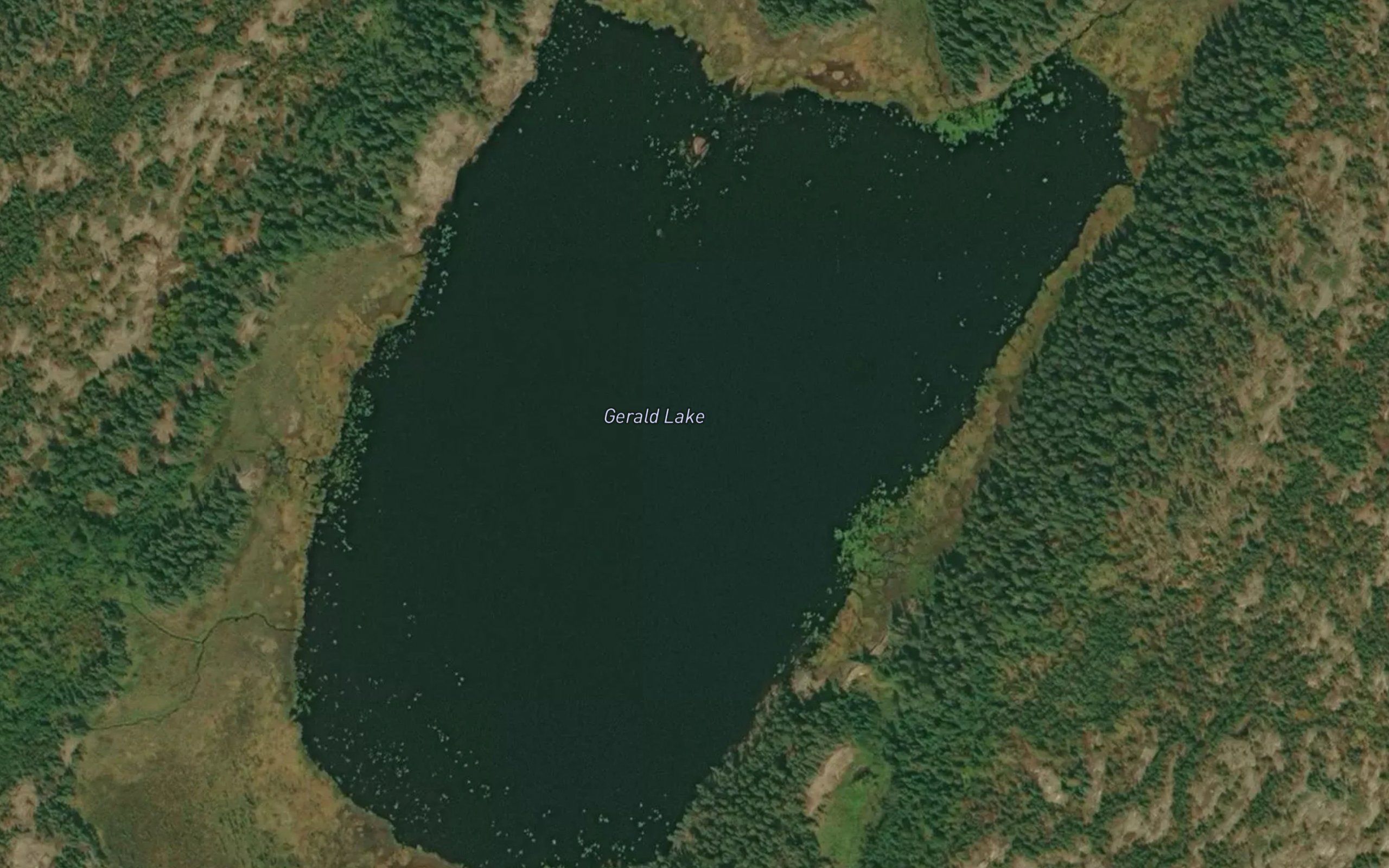 Gerald Lake