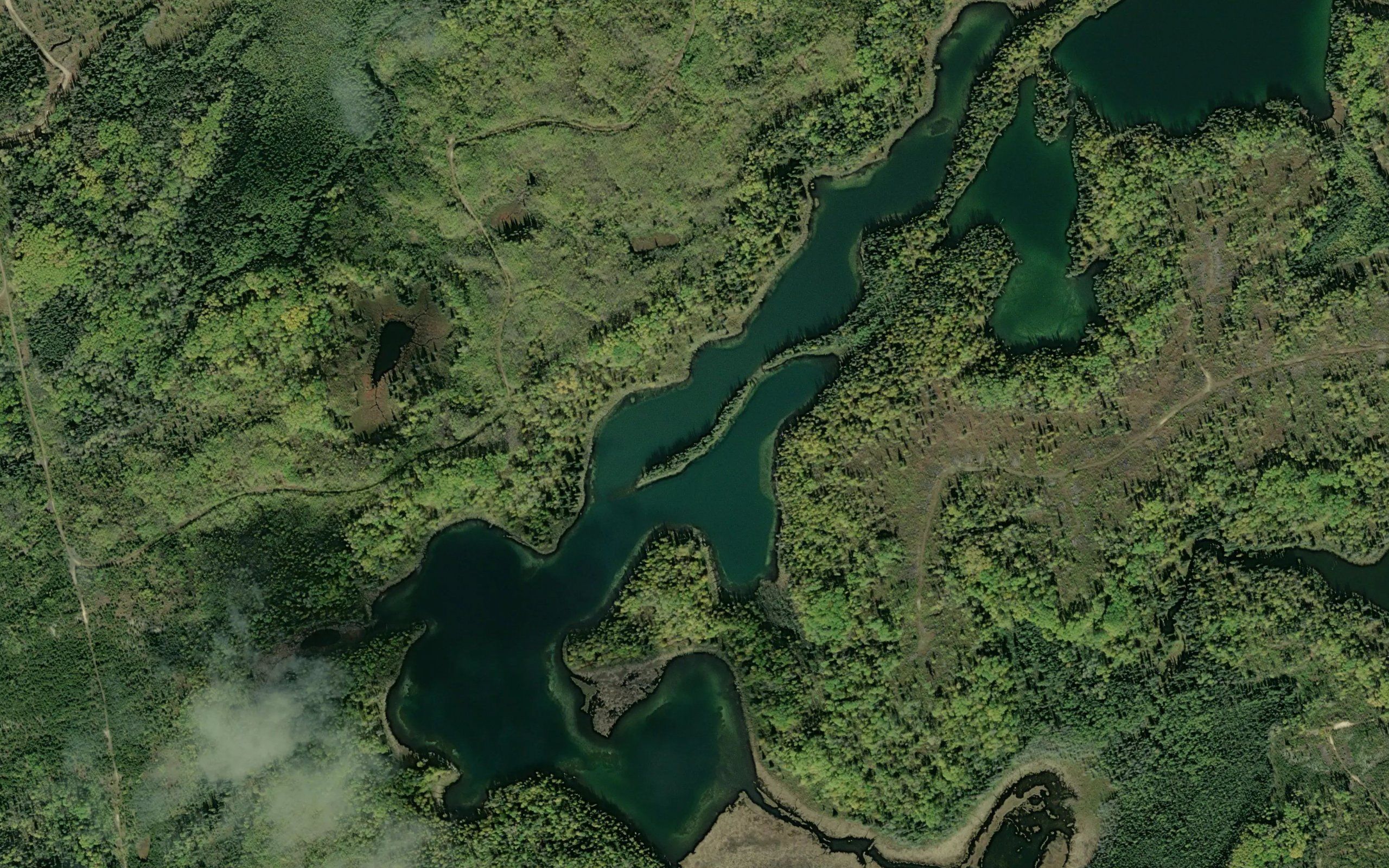 Otter Lake