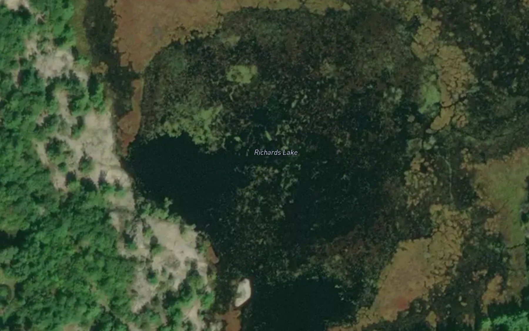 Satellite map of the Richards Lake