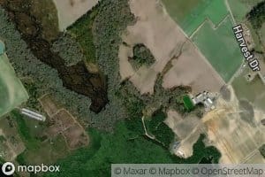 Polk Spring Creek