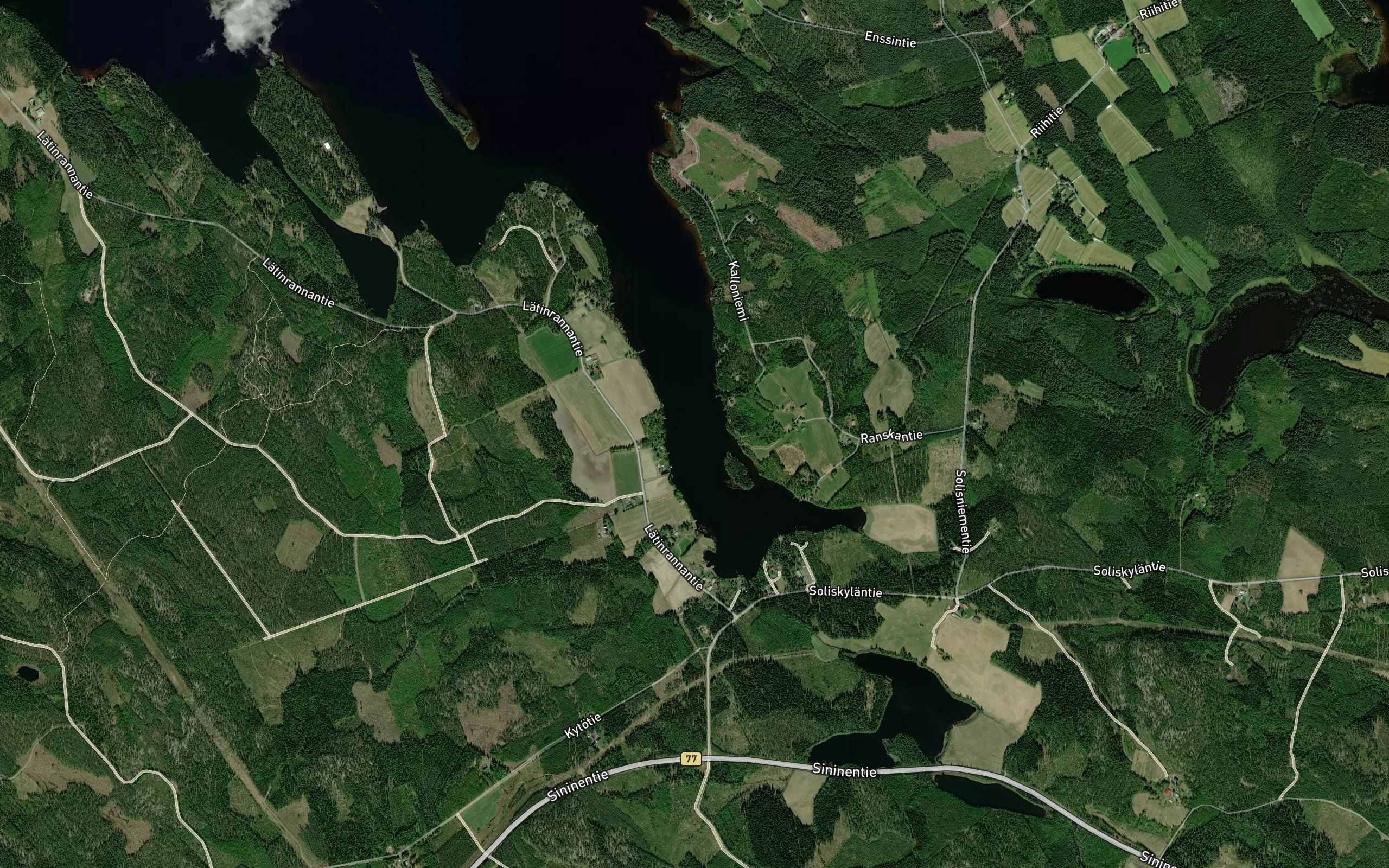 Pajunsyva