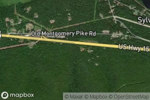 Gibson Hollow Spring