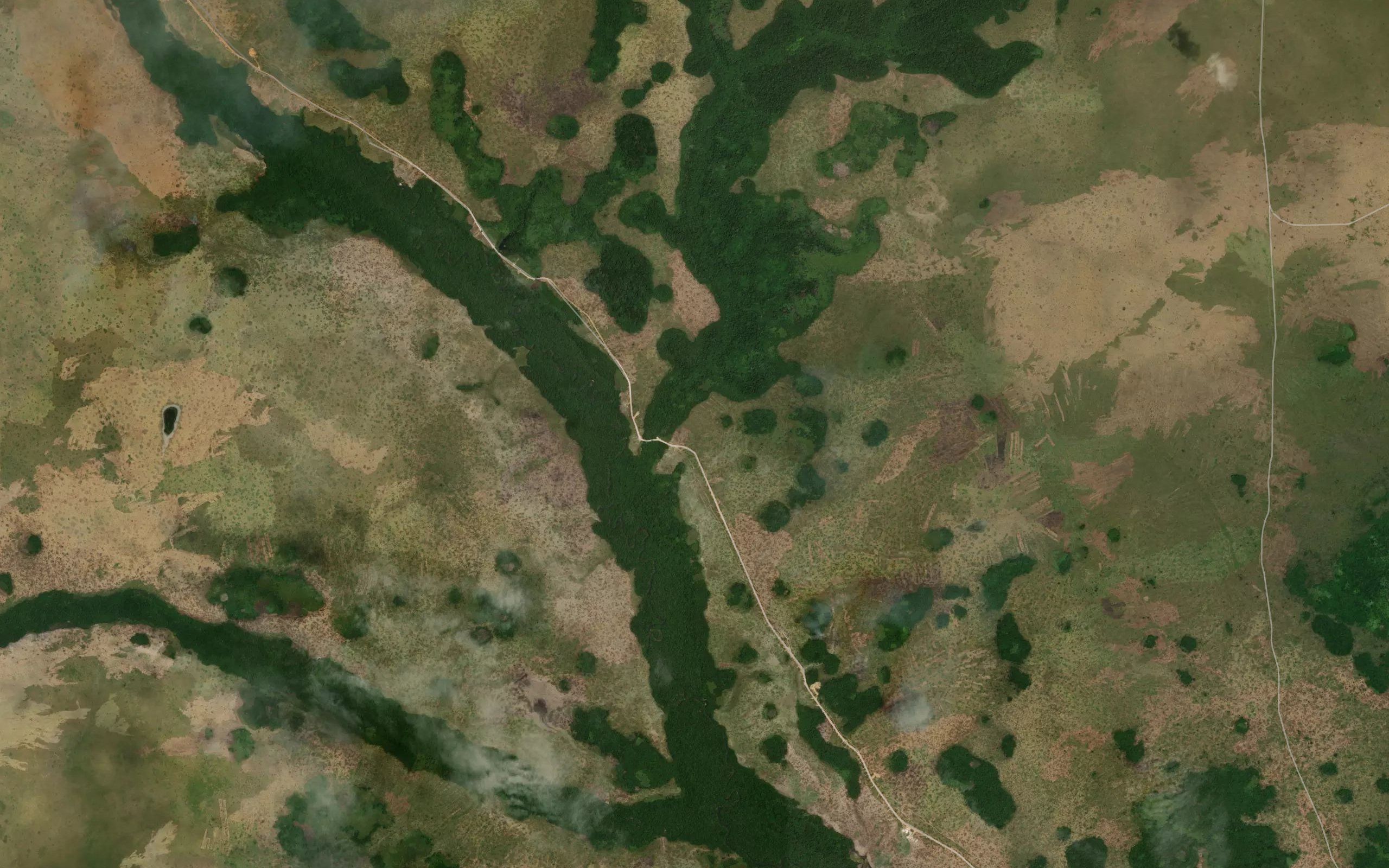 Nguekoli
