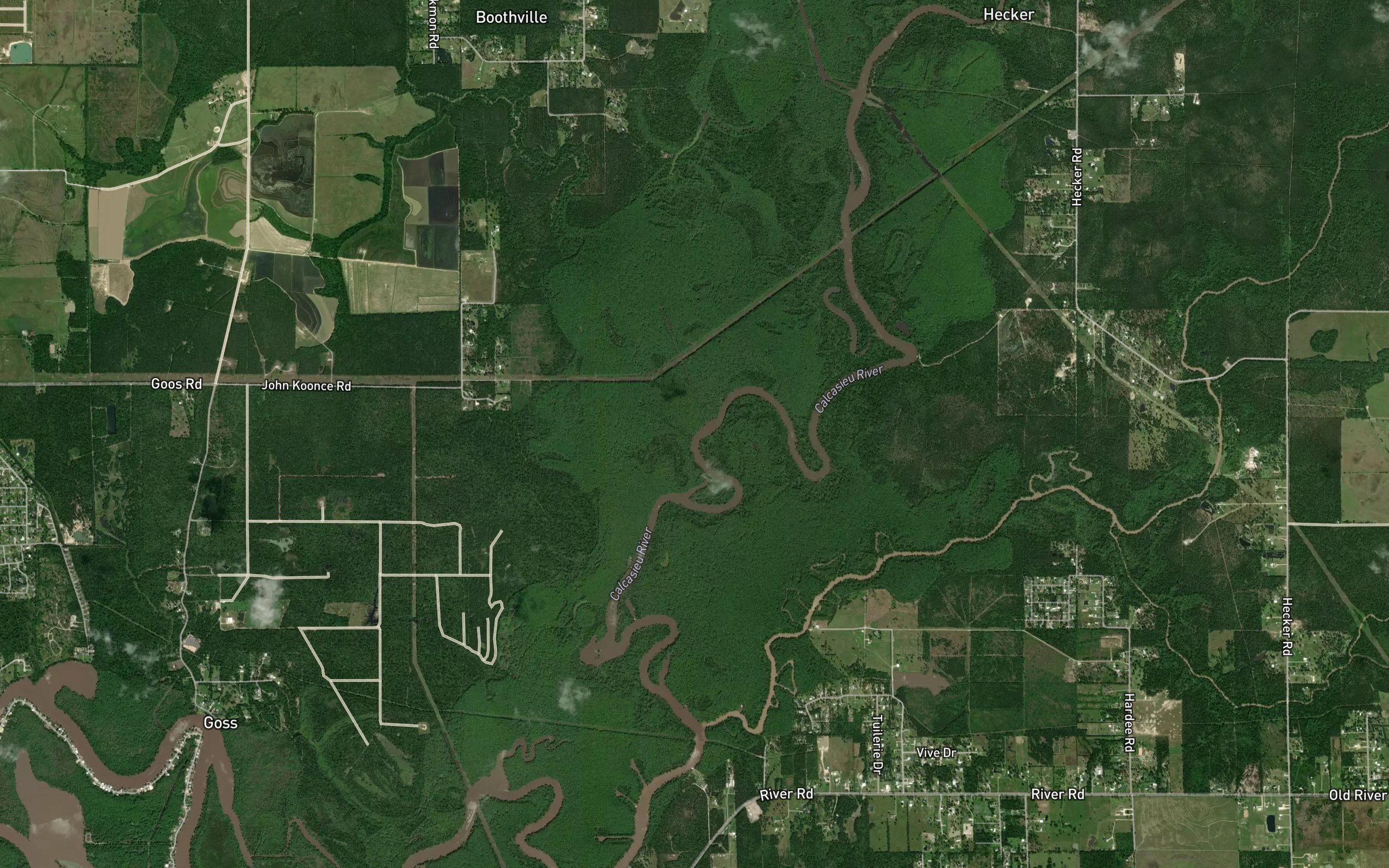 Blackman Bayou