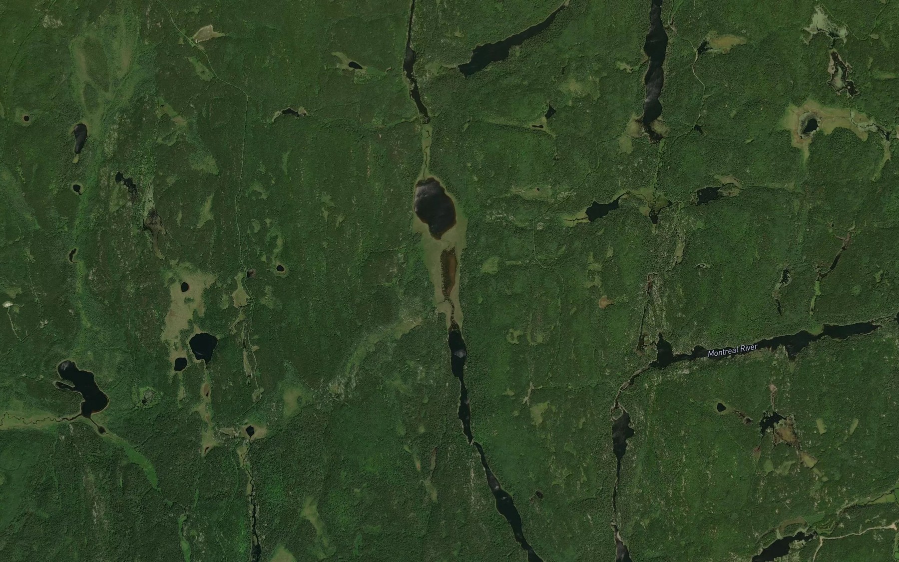 Satellite map of the Wookey Lake