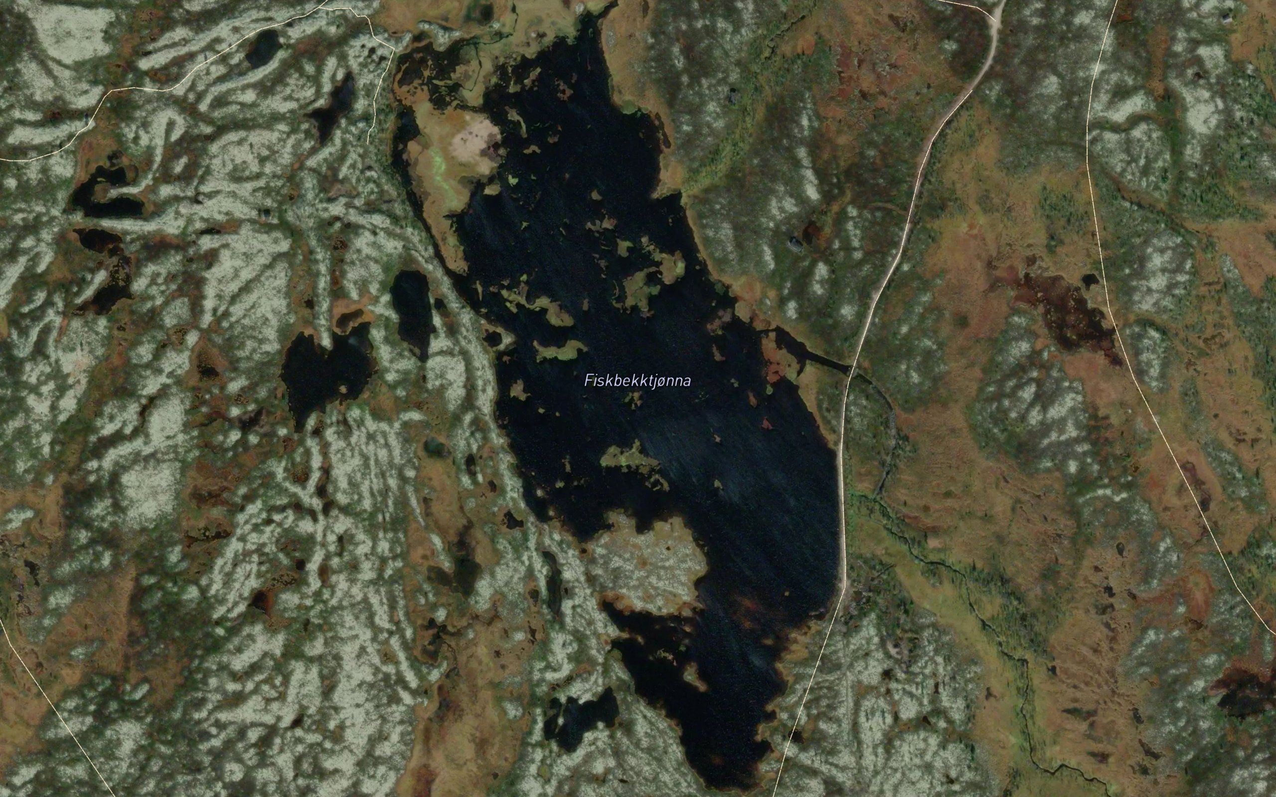 Fiskebekktjorna