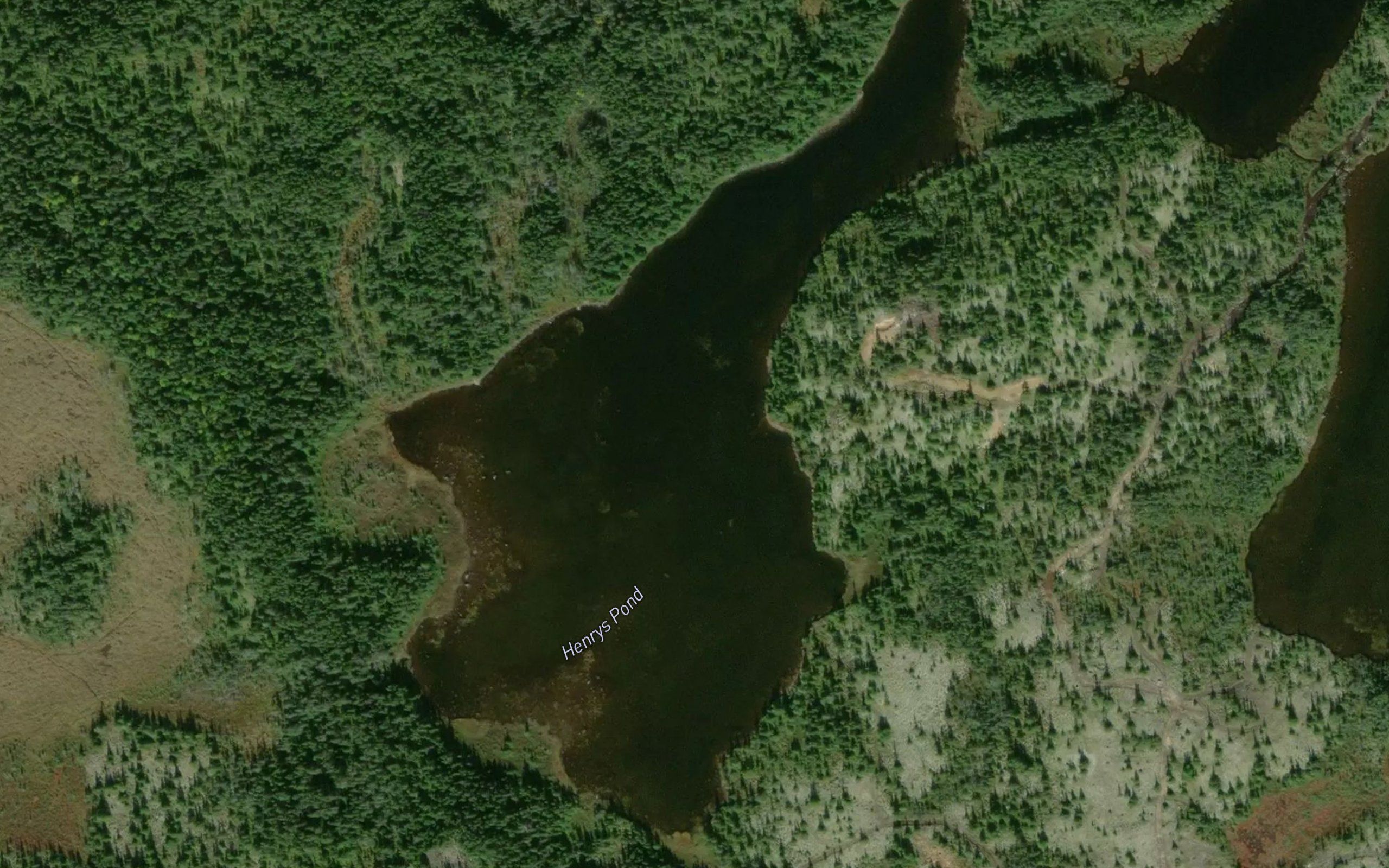 Henrys Pond