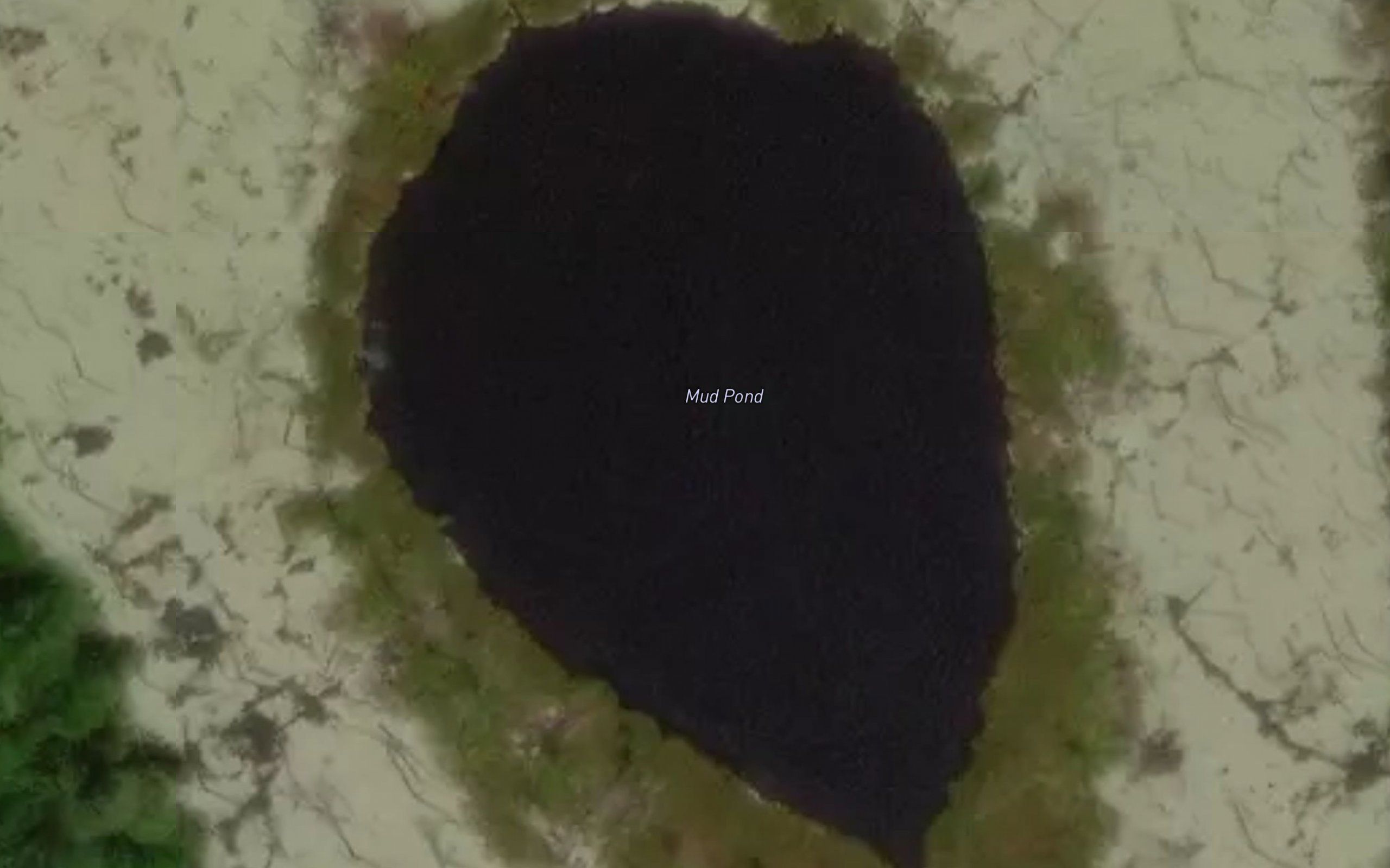 Mud Pond