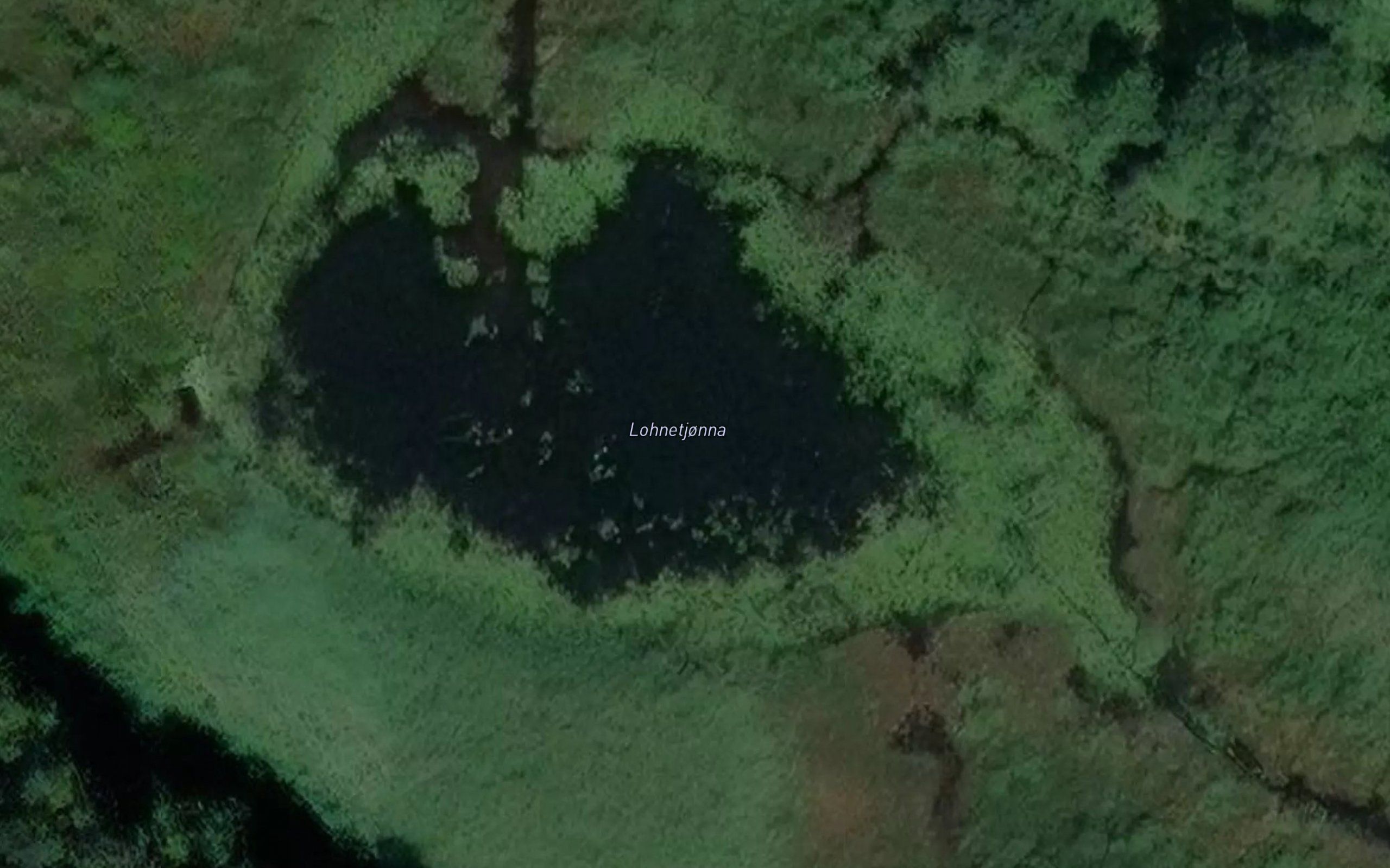 Lonetjonn