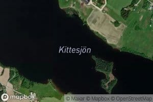 Kittesjoen