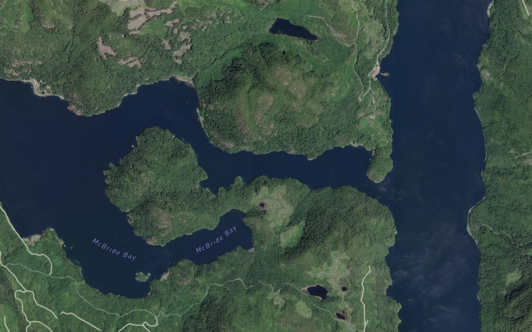 Satellite map of the Tahsis Narrows