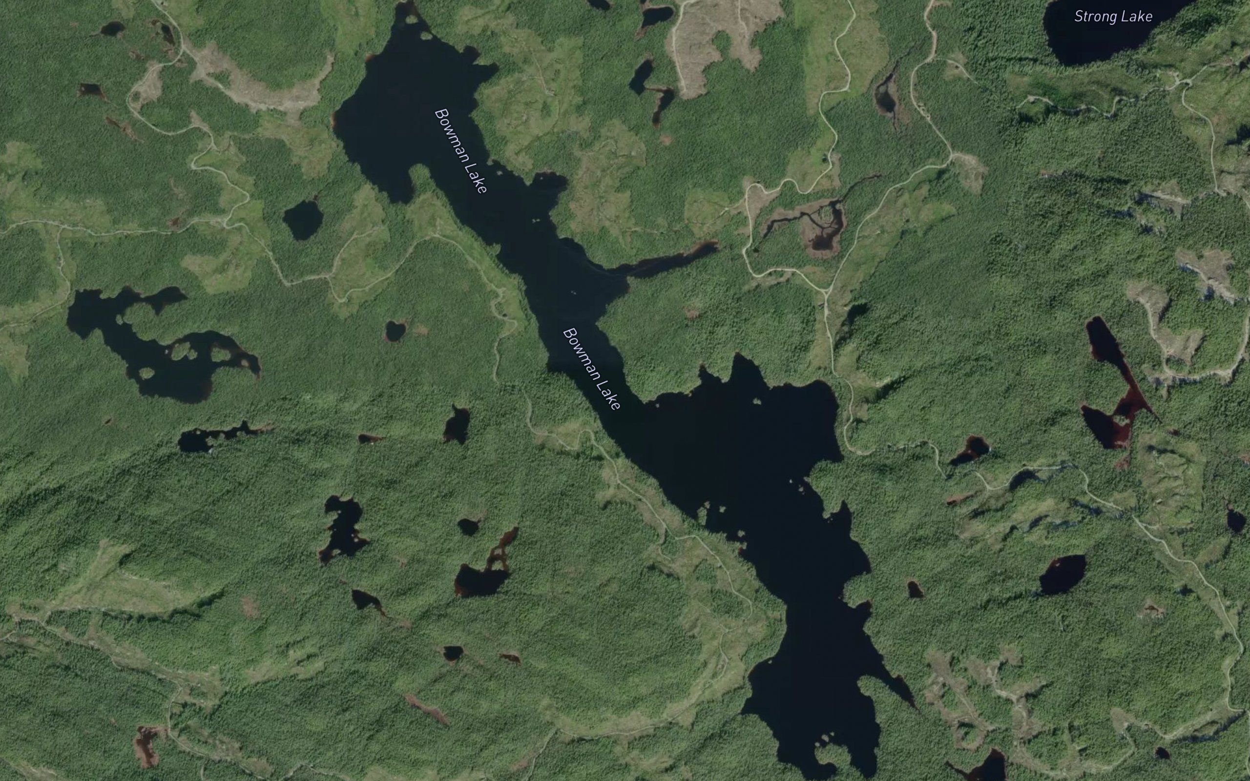 Bowman Lake