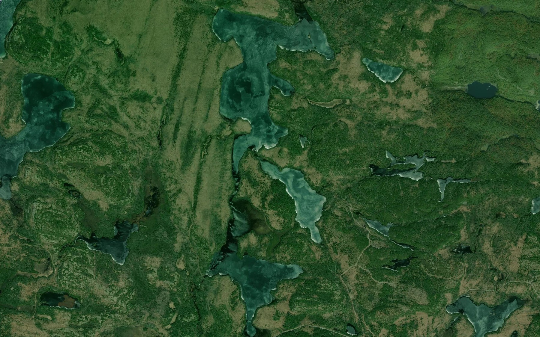 Satellite map of the Williamson Lake