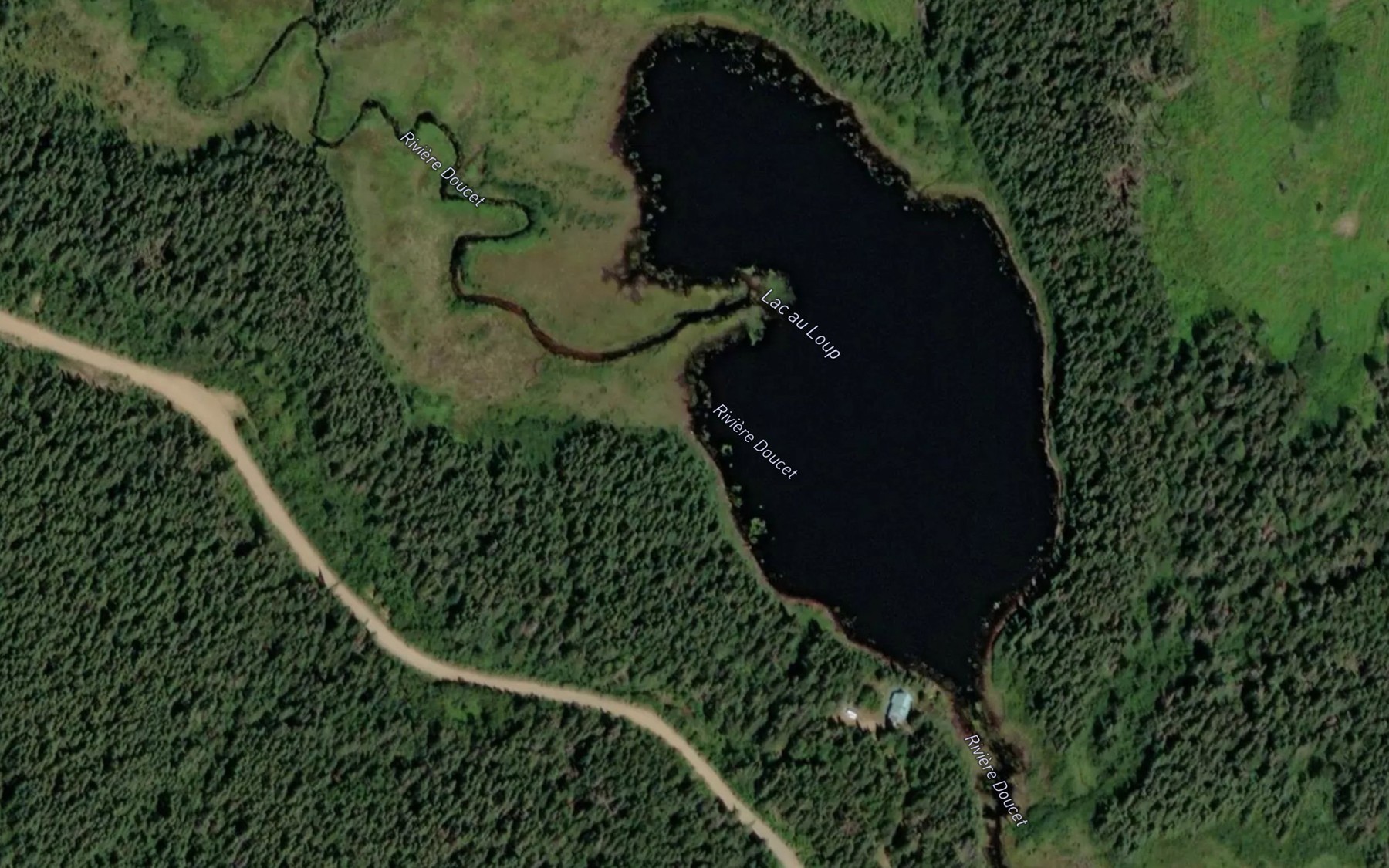 Satellite map of the Lac au Loup