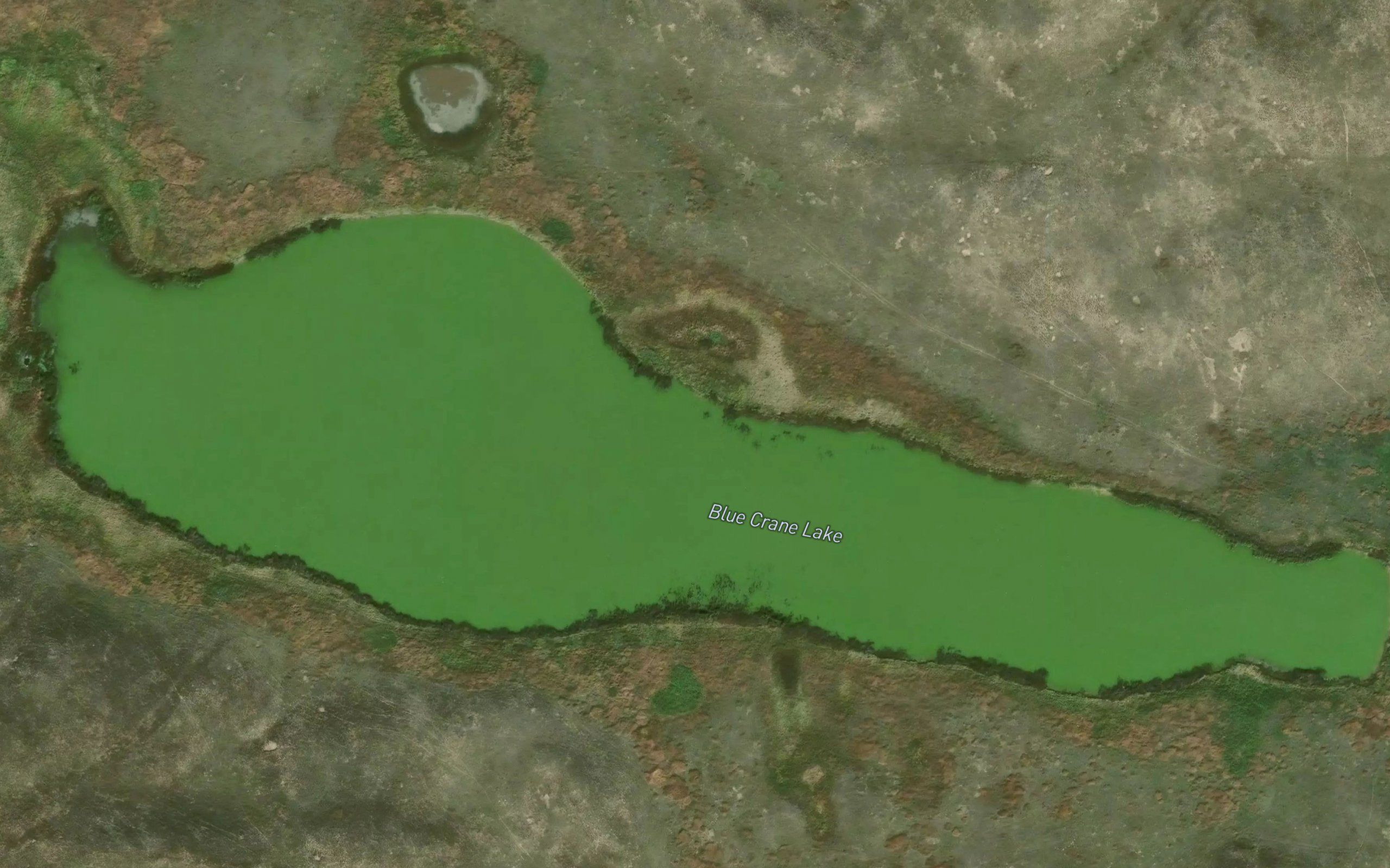 Blue Crane Lake