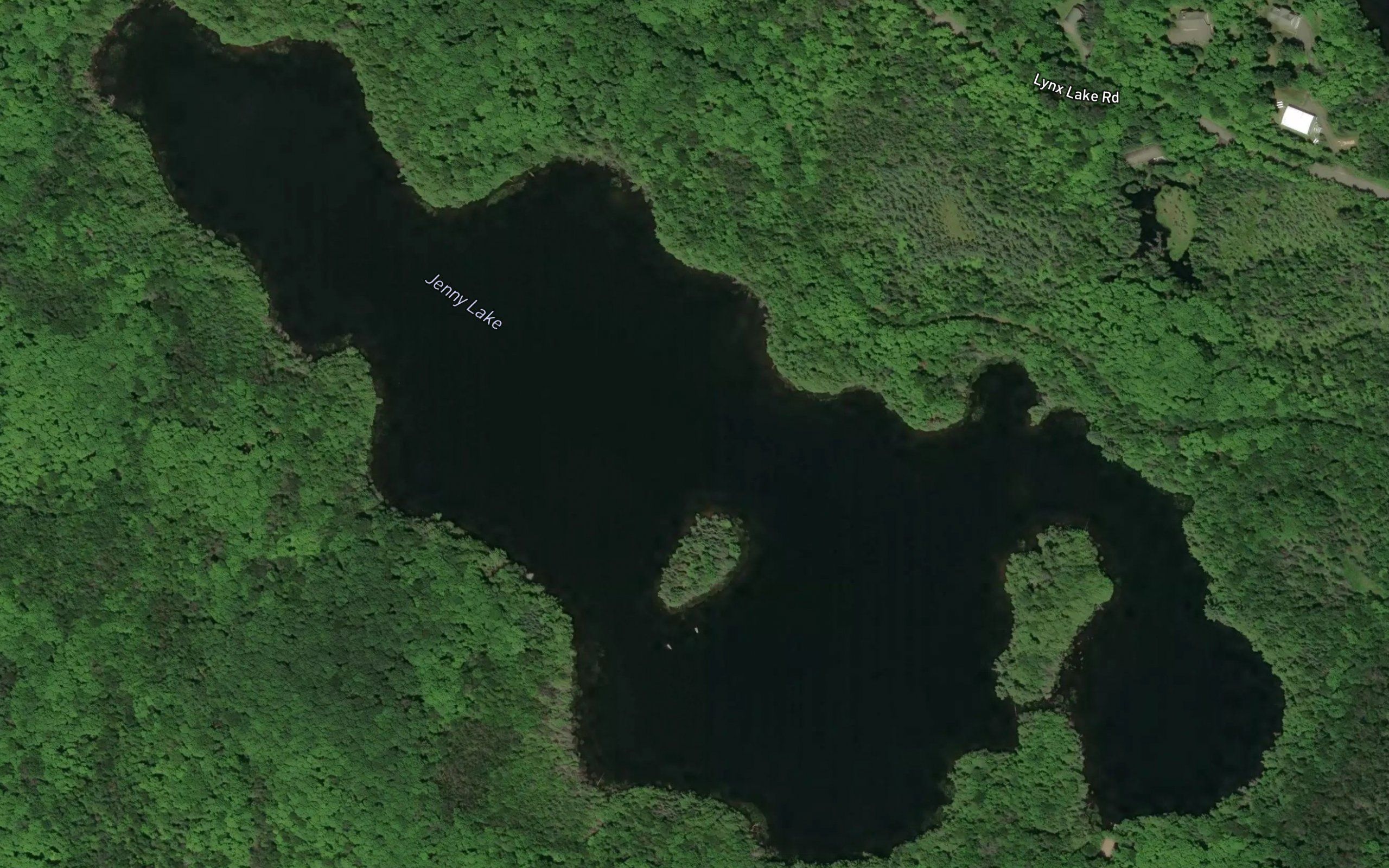 Jenny Lake