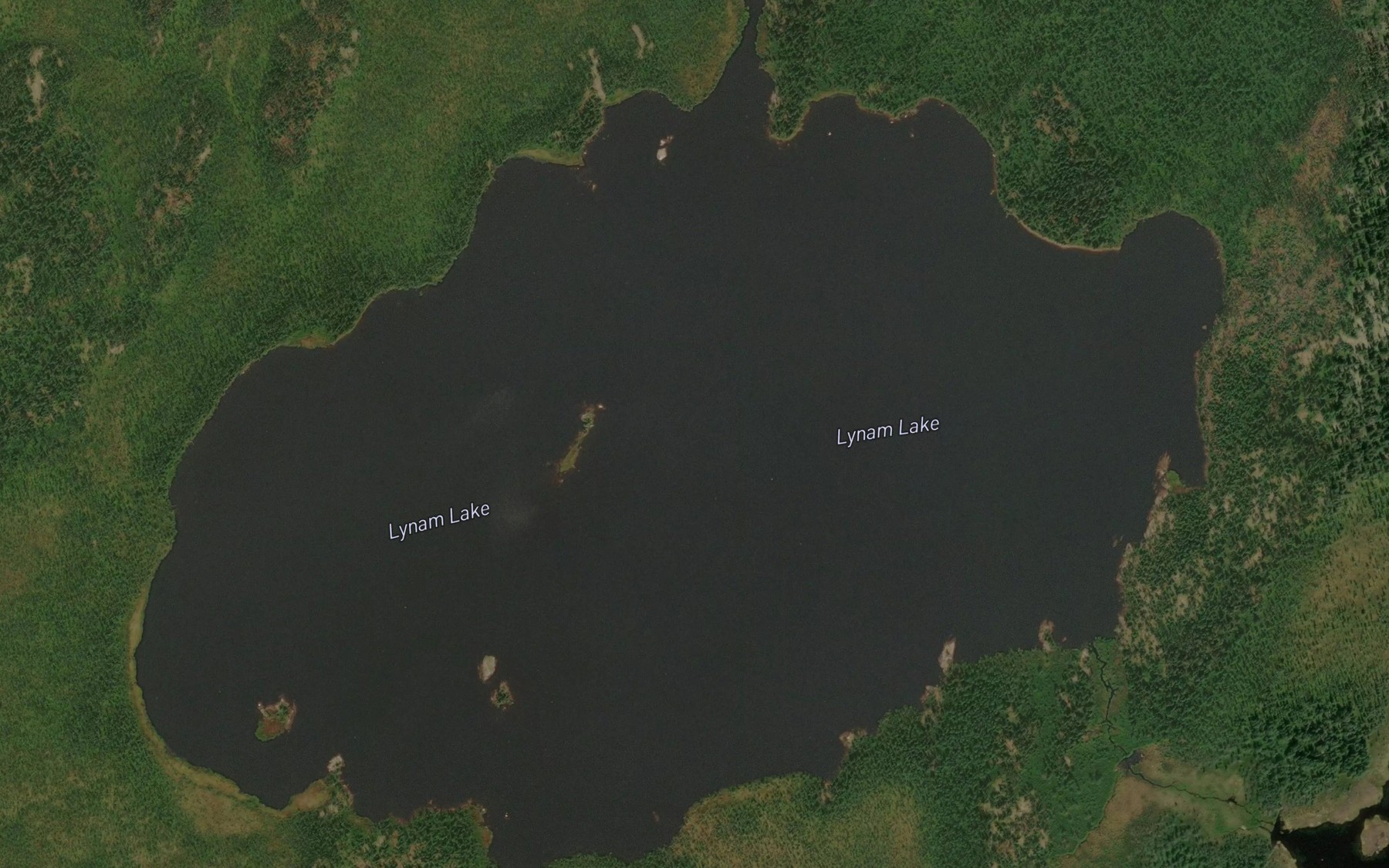 Satellite map of the Lynam Lake
