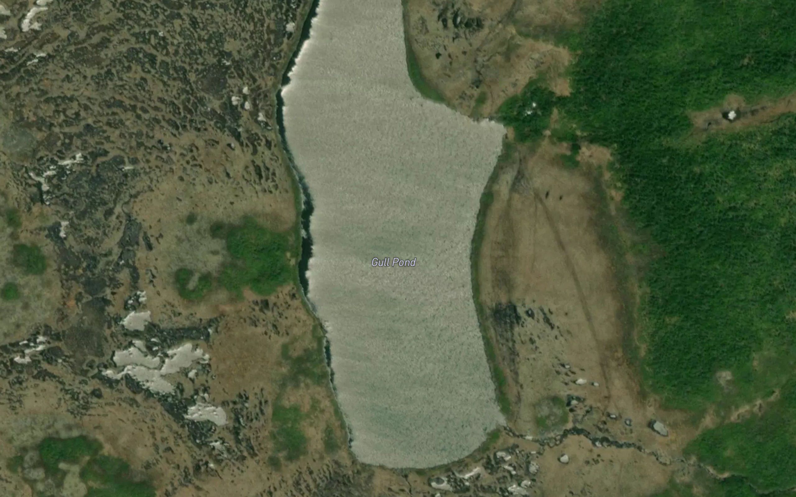 Gull Pond