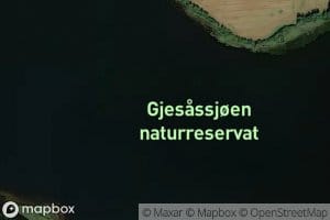 Gjesassjoen