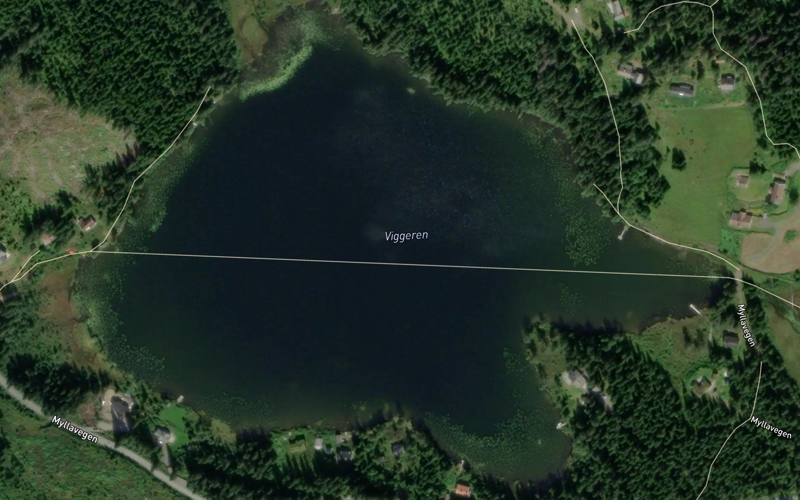 Viggern