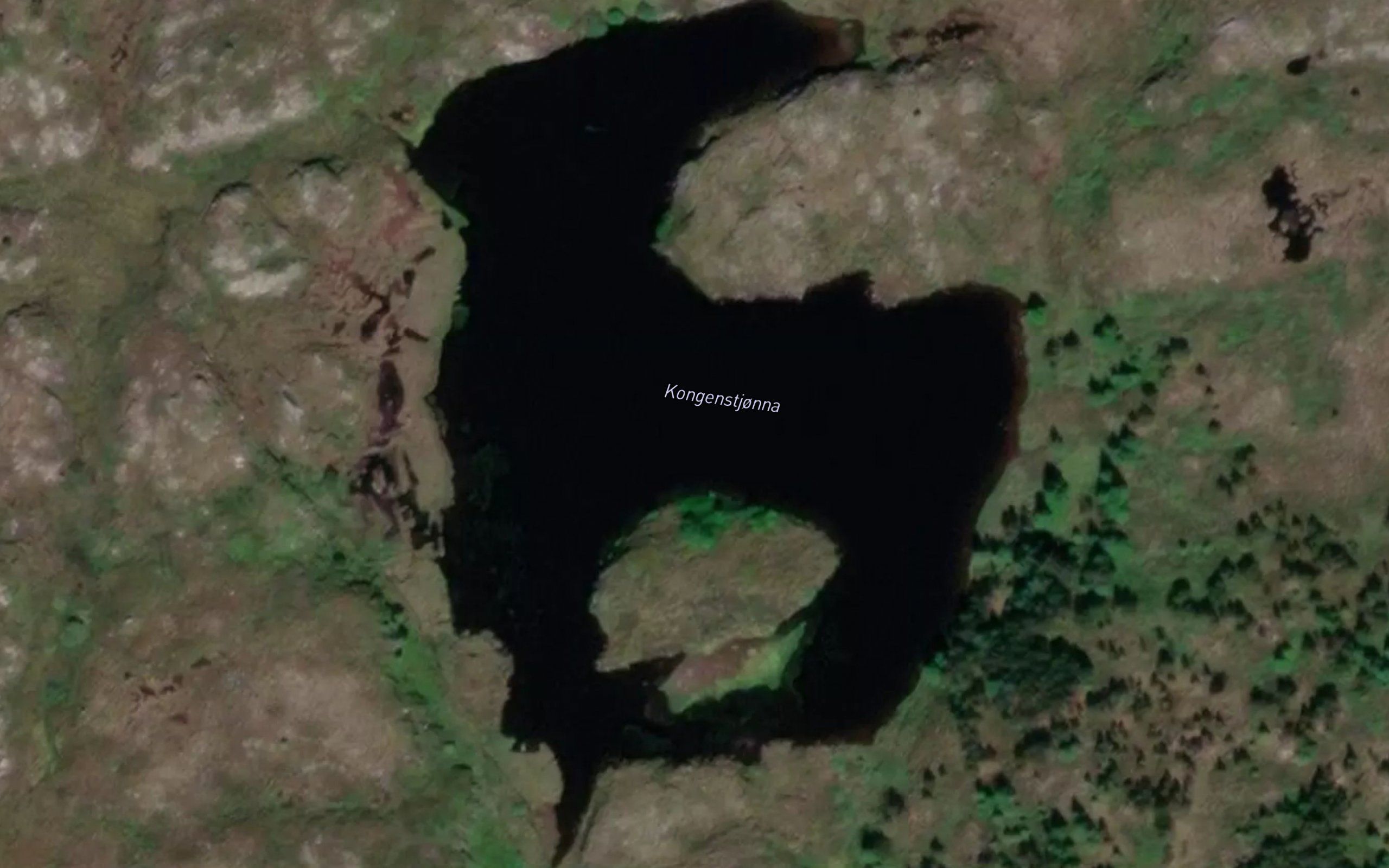Kongstjorna
