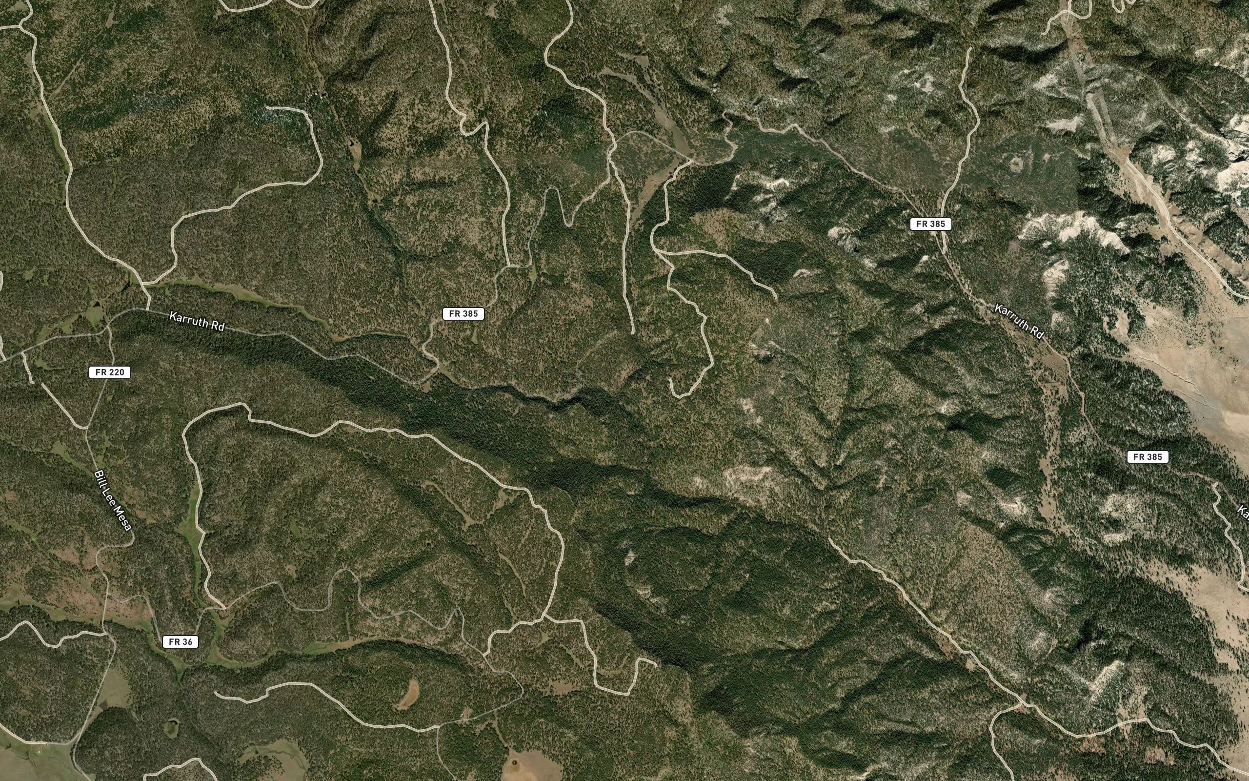 Jenkins Creek
