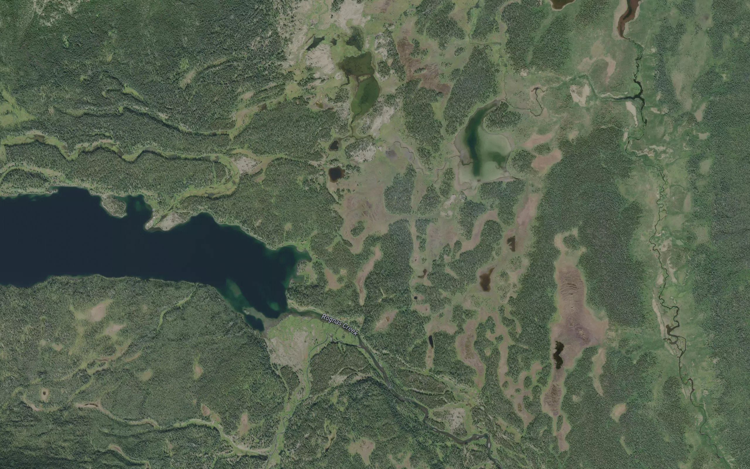 Trygve Creek