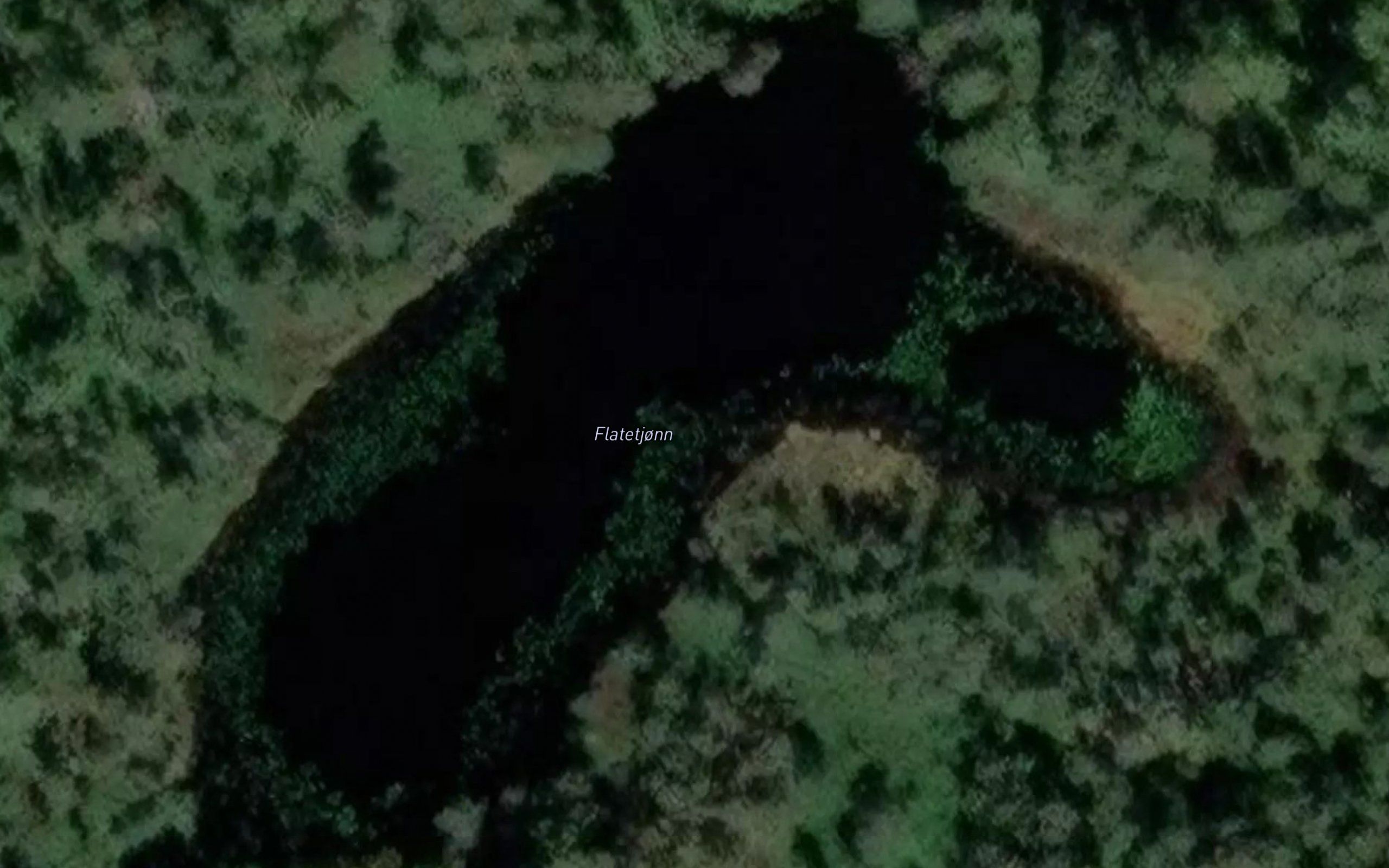 Flatetjonn