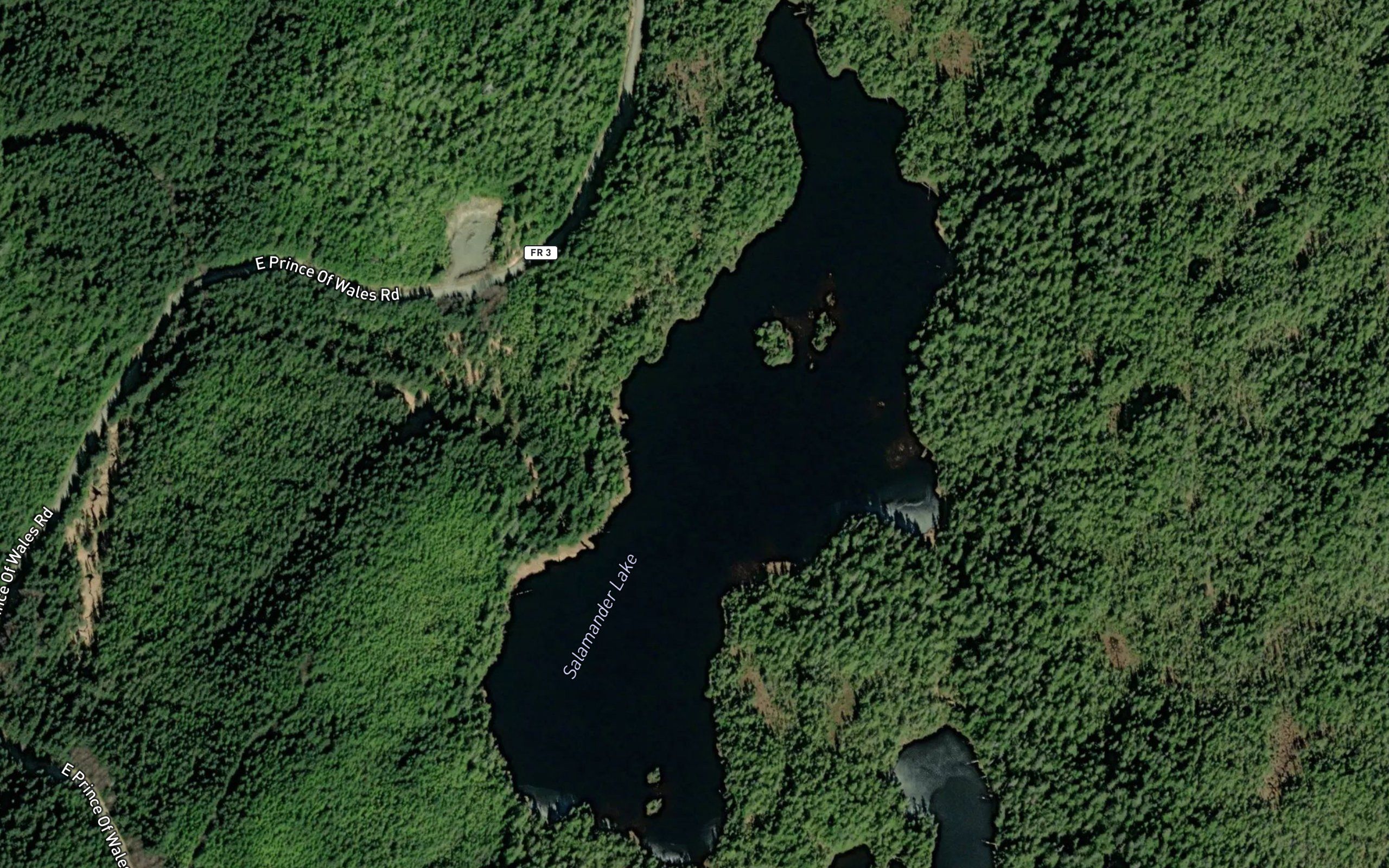 Salamander Lake
