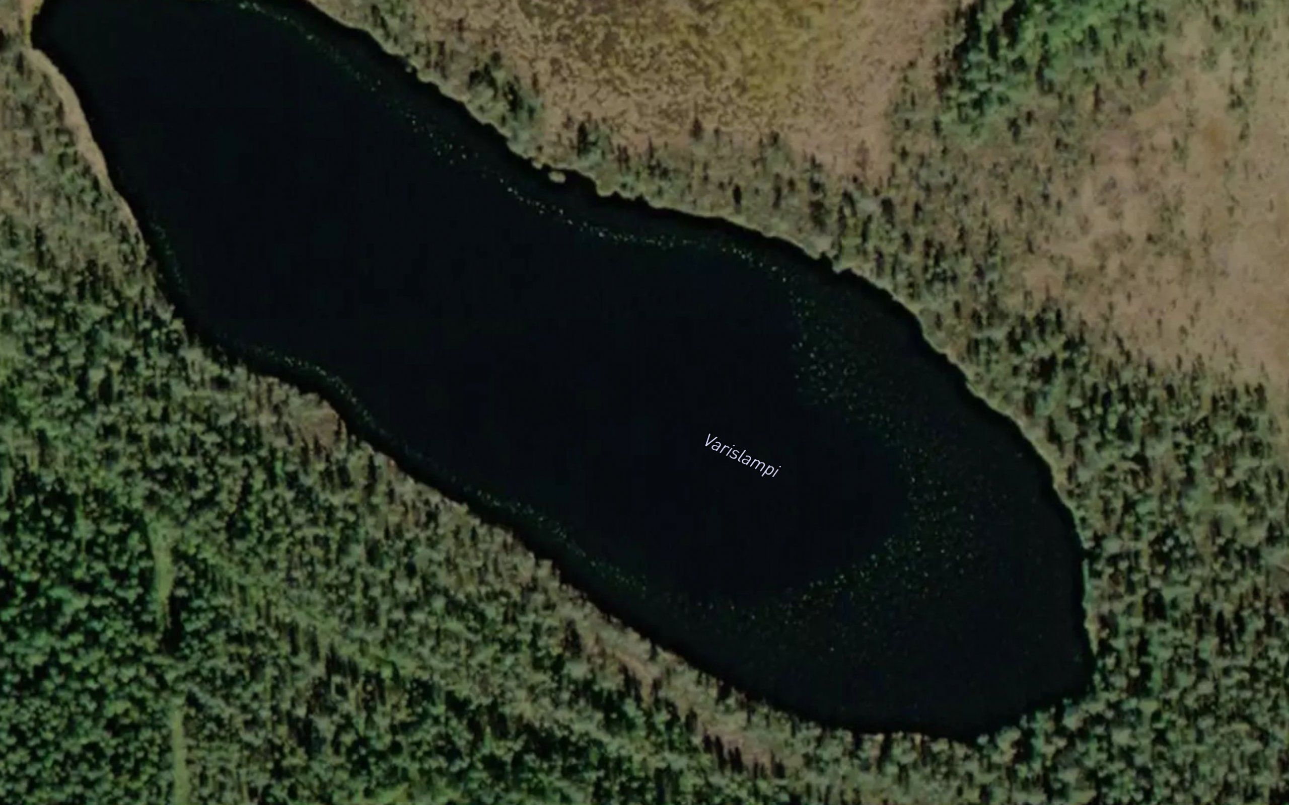 Varislampi