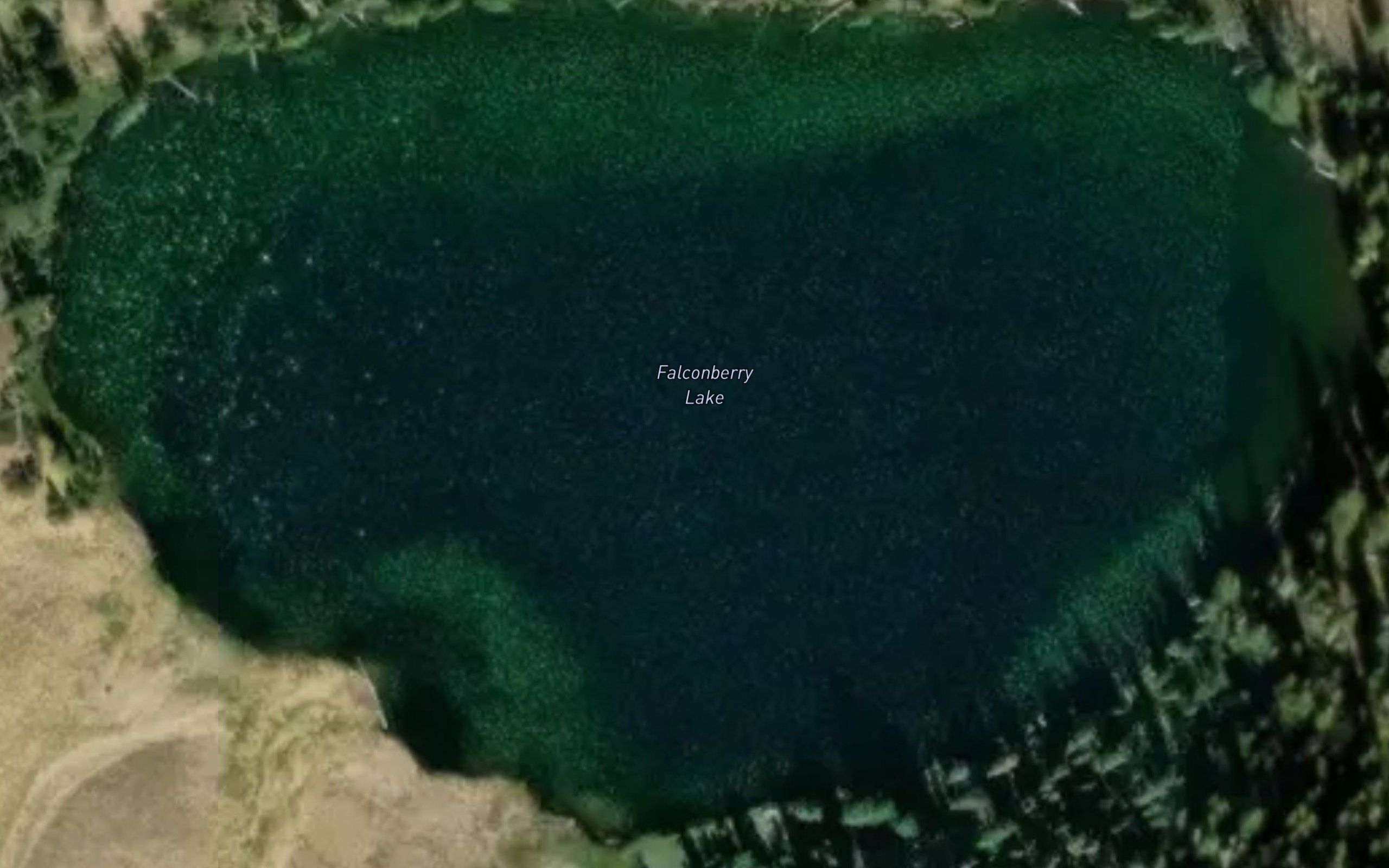 Falconberry Lake