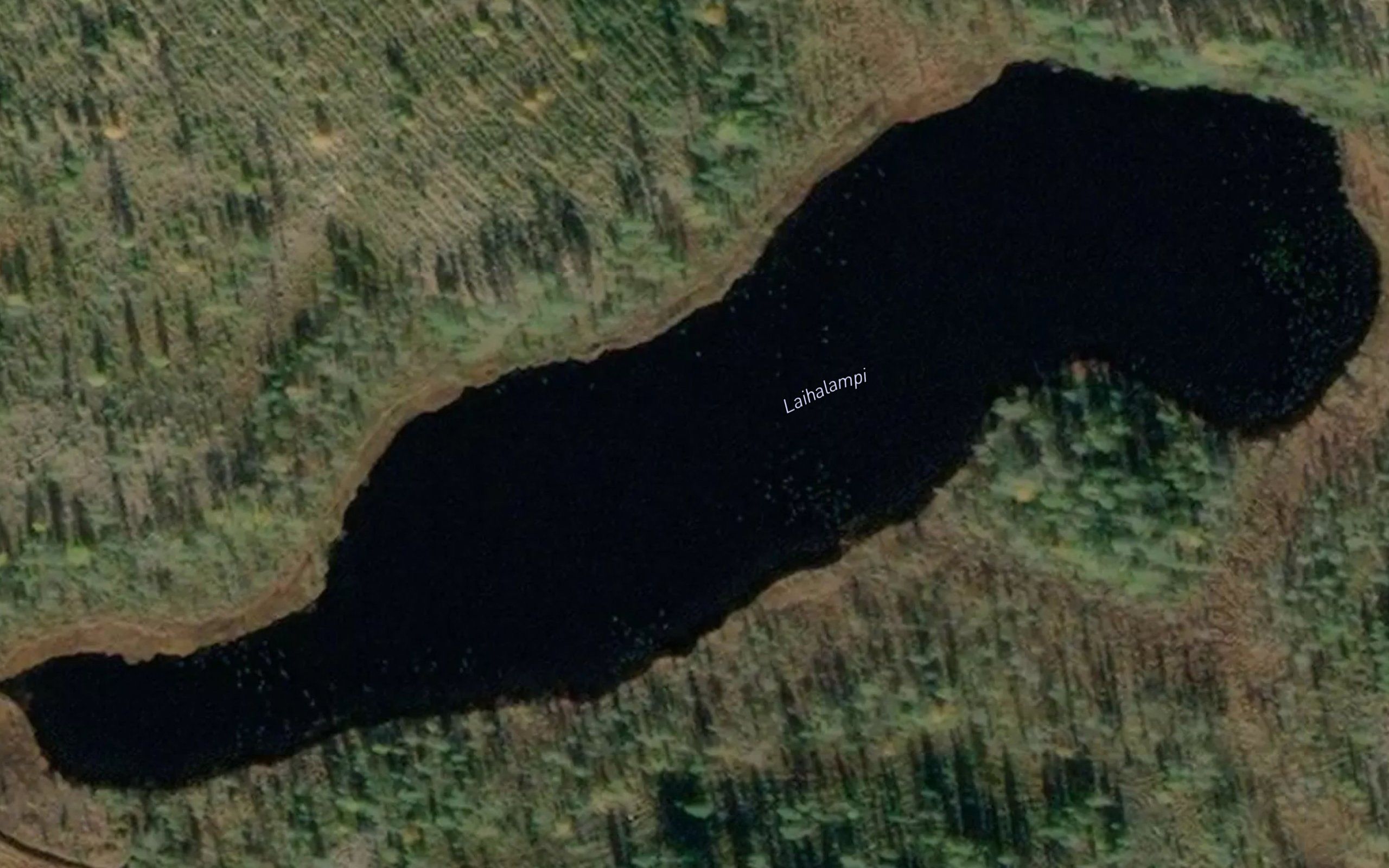 Laihalampi