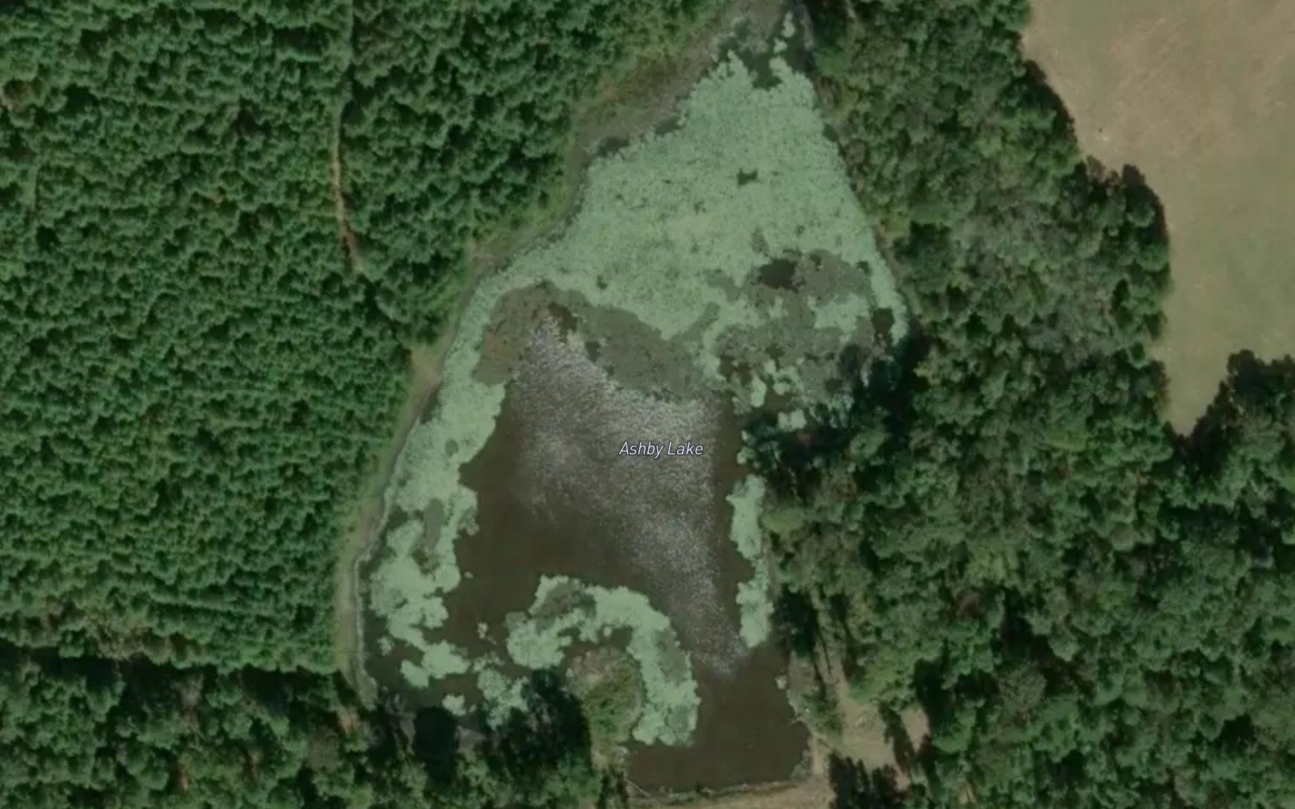 Ashby Lake