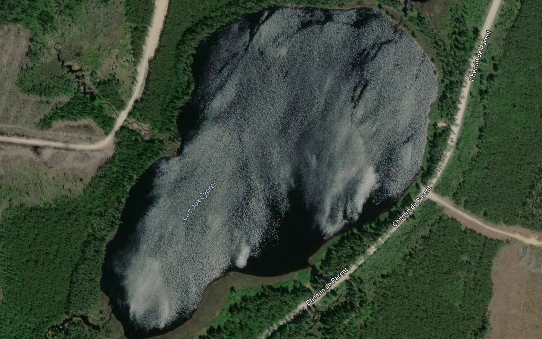 Satellite map of the Lac aux Cypres